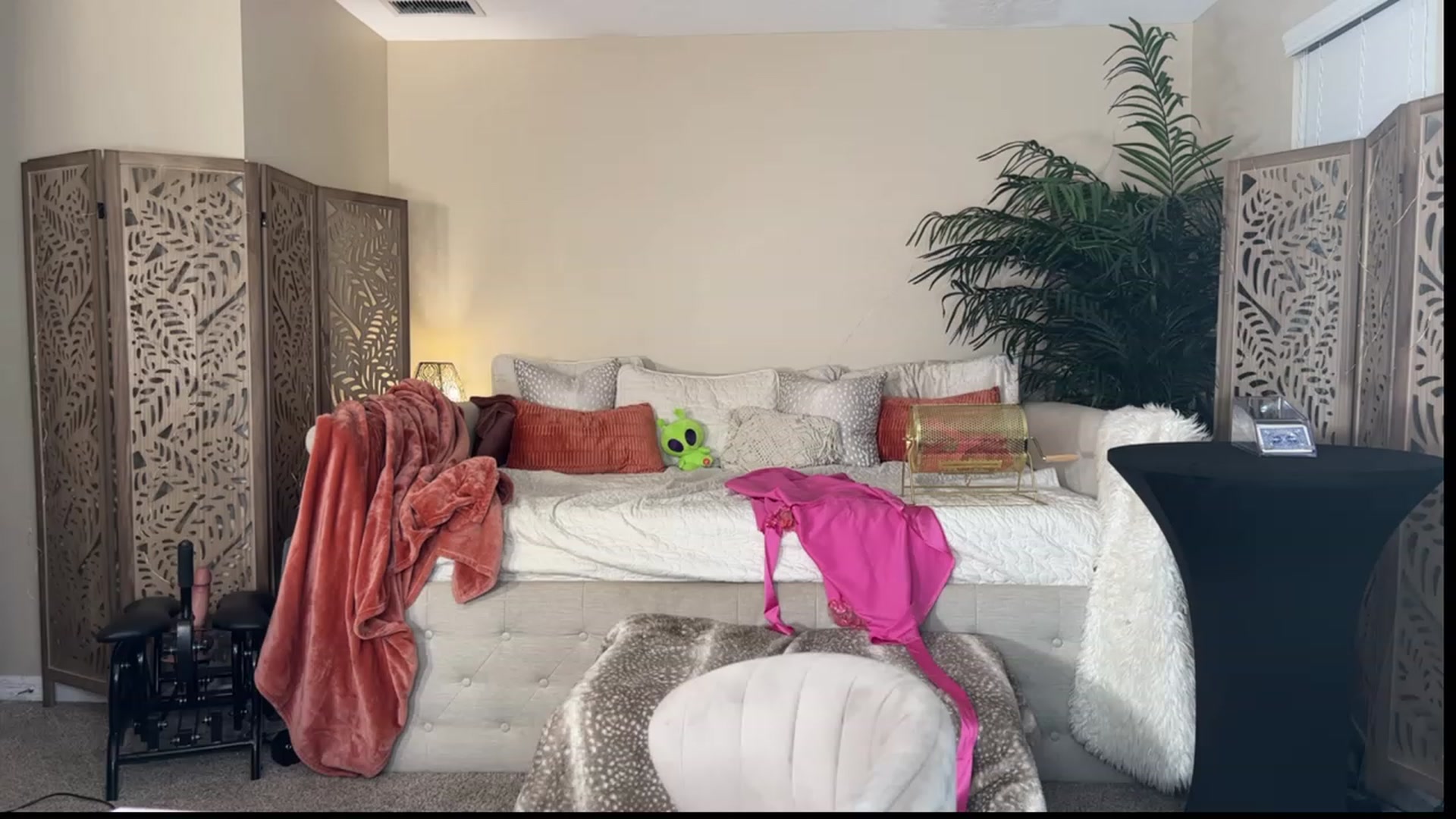 Gallery image thumbnail from Summer_Ari's myfreecams stream on, 08/25/2023, 04:39 image 10 of 20