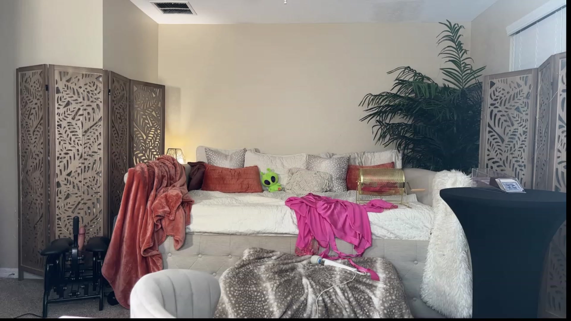 Gallery image thumbnail from Summer_Ari's myfreecams stream on, 08/25/2023, 05:17 image 11 of 20