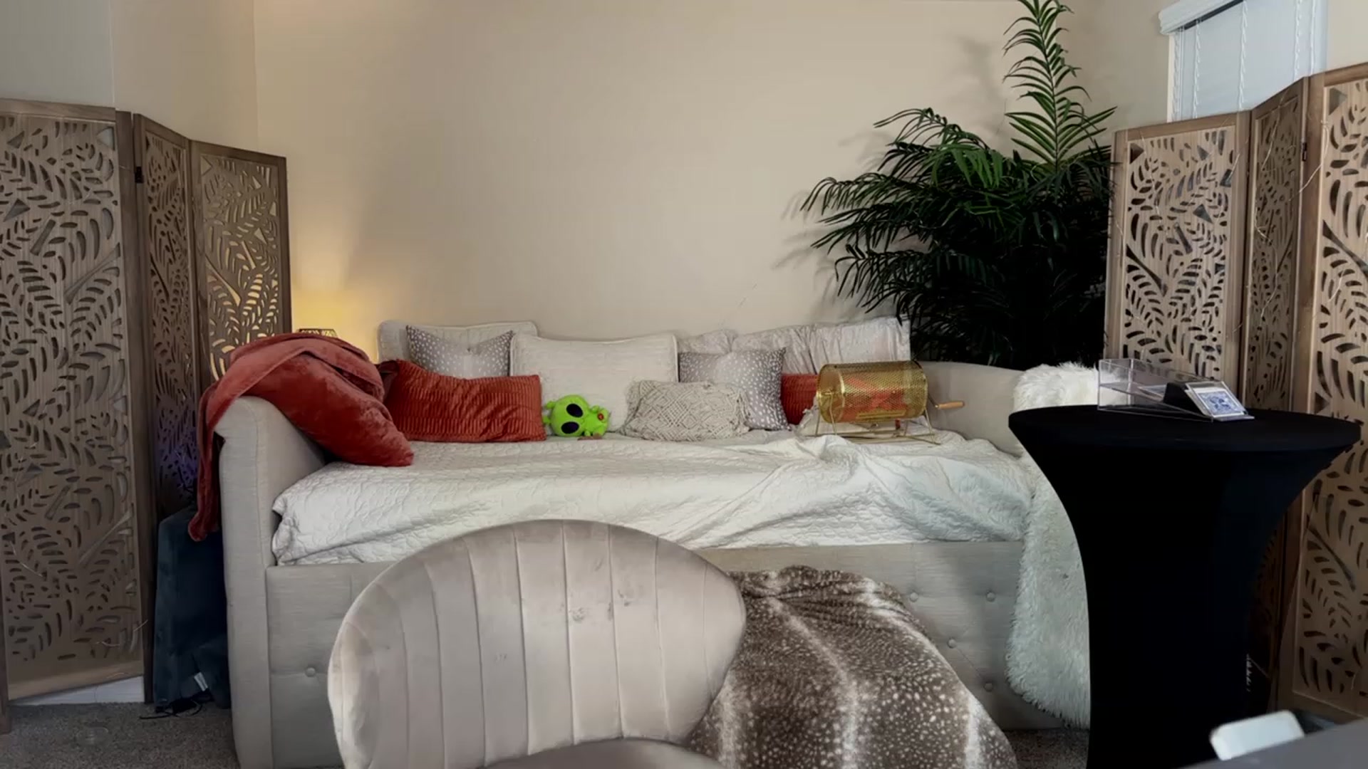 Gallery image thumbnail from Summer_Ari's myfreecams stream on, 09/02/2023, 06:20 image 10 of 20