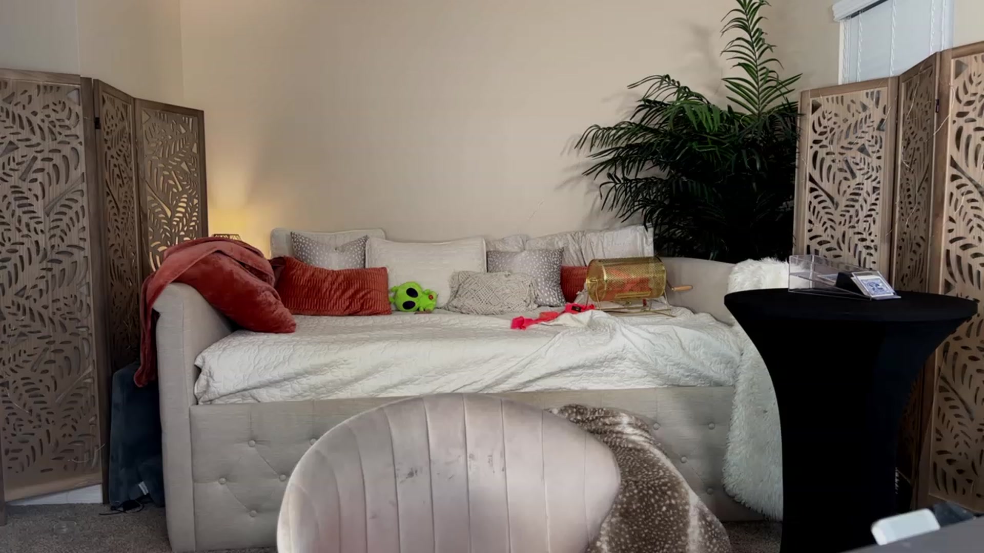 Gallery image thumbnail from Summer_Ari's myfreecams stream on, 09/02/2023, 07:55 image 15 of 20