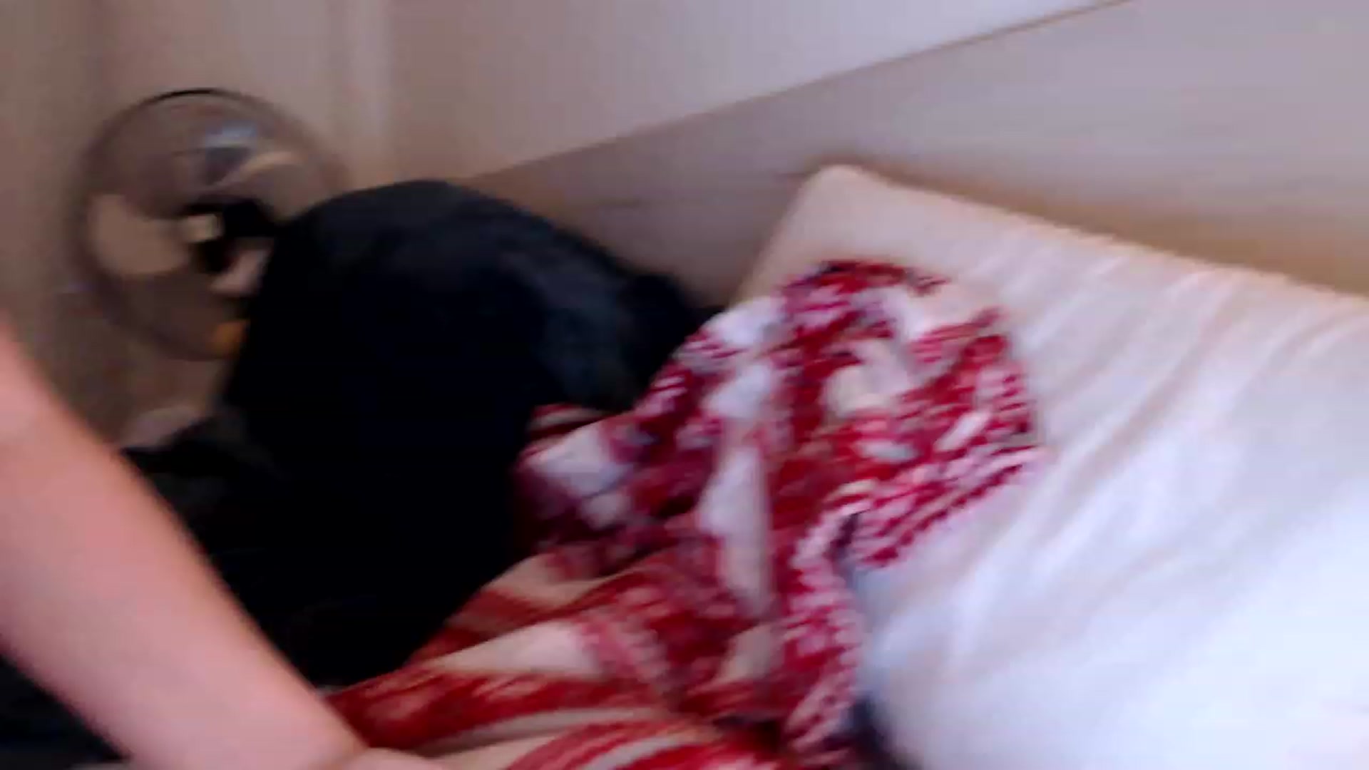 Gallery image thumbnail from Summer_Gold's myfreecams stream on, 03/16/2023, 22:52 image 17 of 20