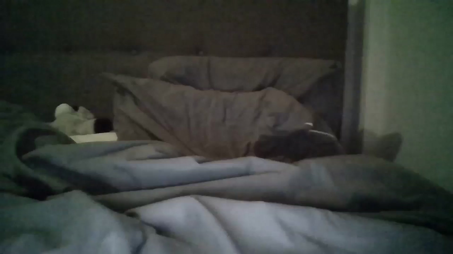 Gallery image thumbnail from Summerwiliams's myfreecams stream on, 11/17/2023, 24:01 image 17 of 20