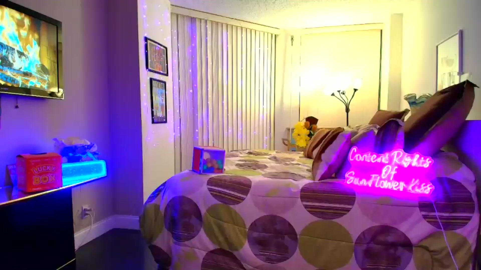Gallery image thumbnail from SunFlowerKiss's myfreecams stream on, 12/09/2025, 02:42 image 13 of 20