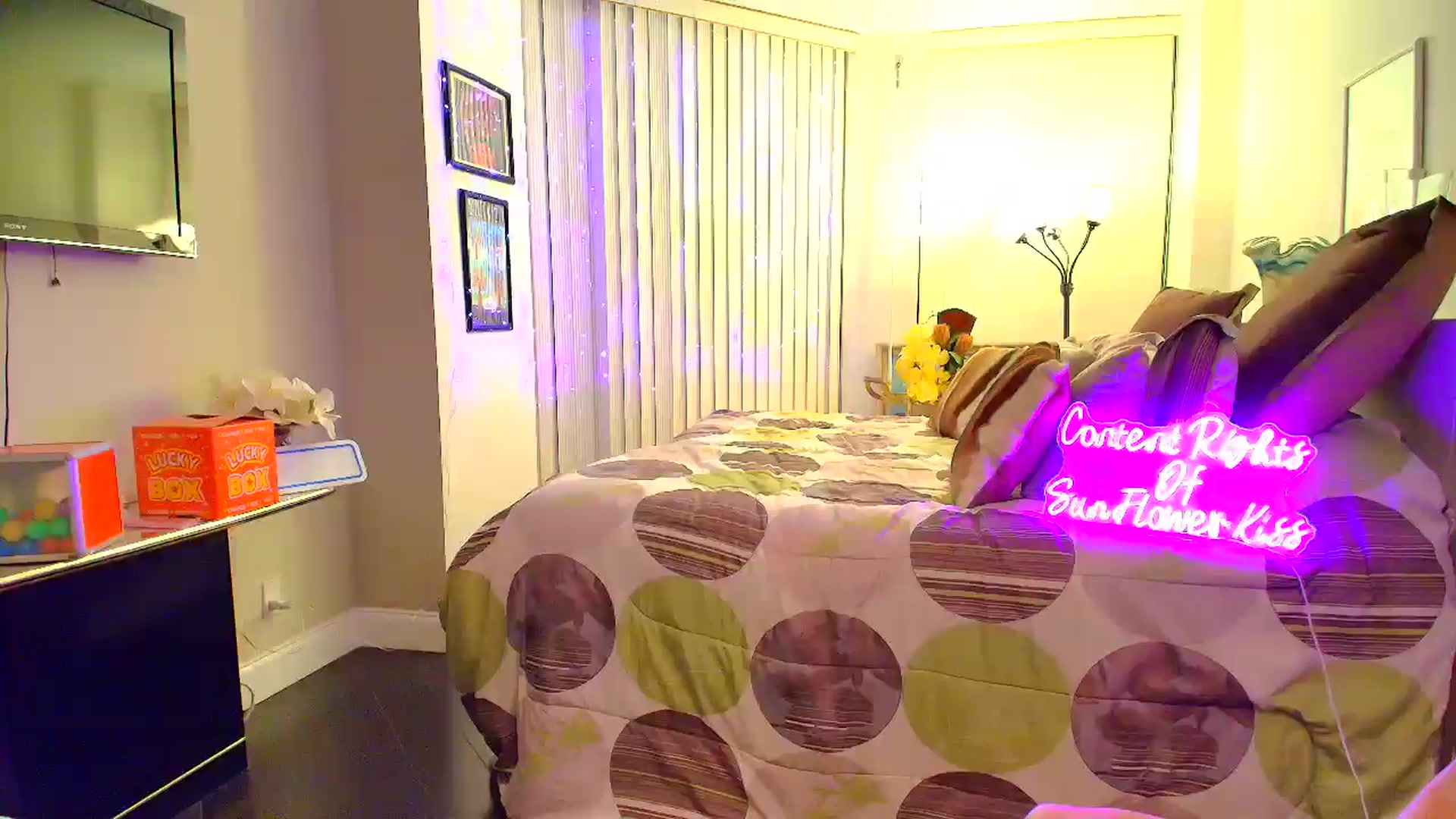 Gallery image thumbnail from SunFlowerKiss's myfreecams stream on, 12/10/2025, 05:43 image 5 of 20
