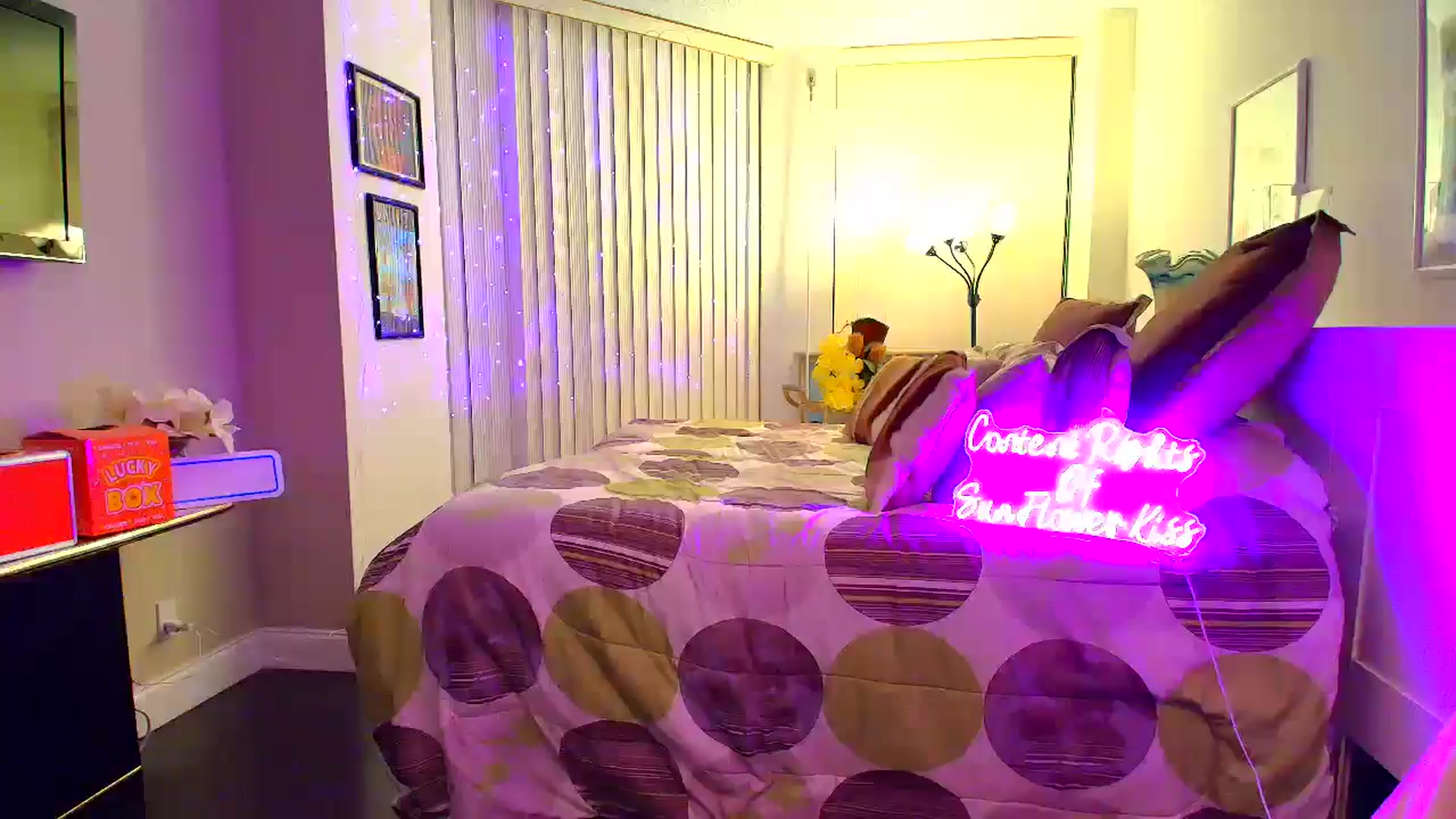 Gallery image thumbnail from SunFlowerKiss's myfreecams stream on, 12/11/2025, 04:27 image 20 of 20