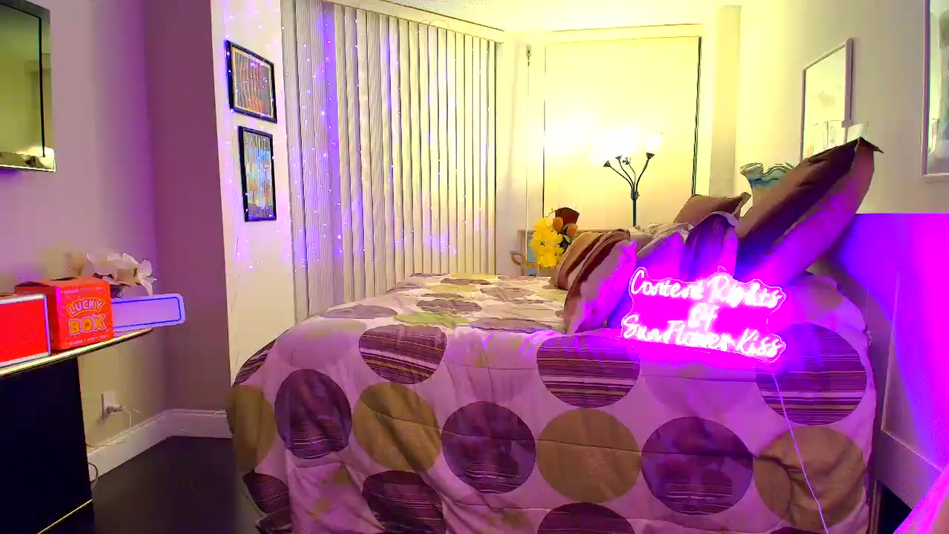 Gallery image thumbnail from SunFlowerKiss's myfreecams stream on, 12/11/2025, 04:52 image 17 of 20