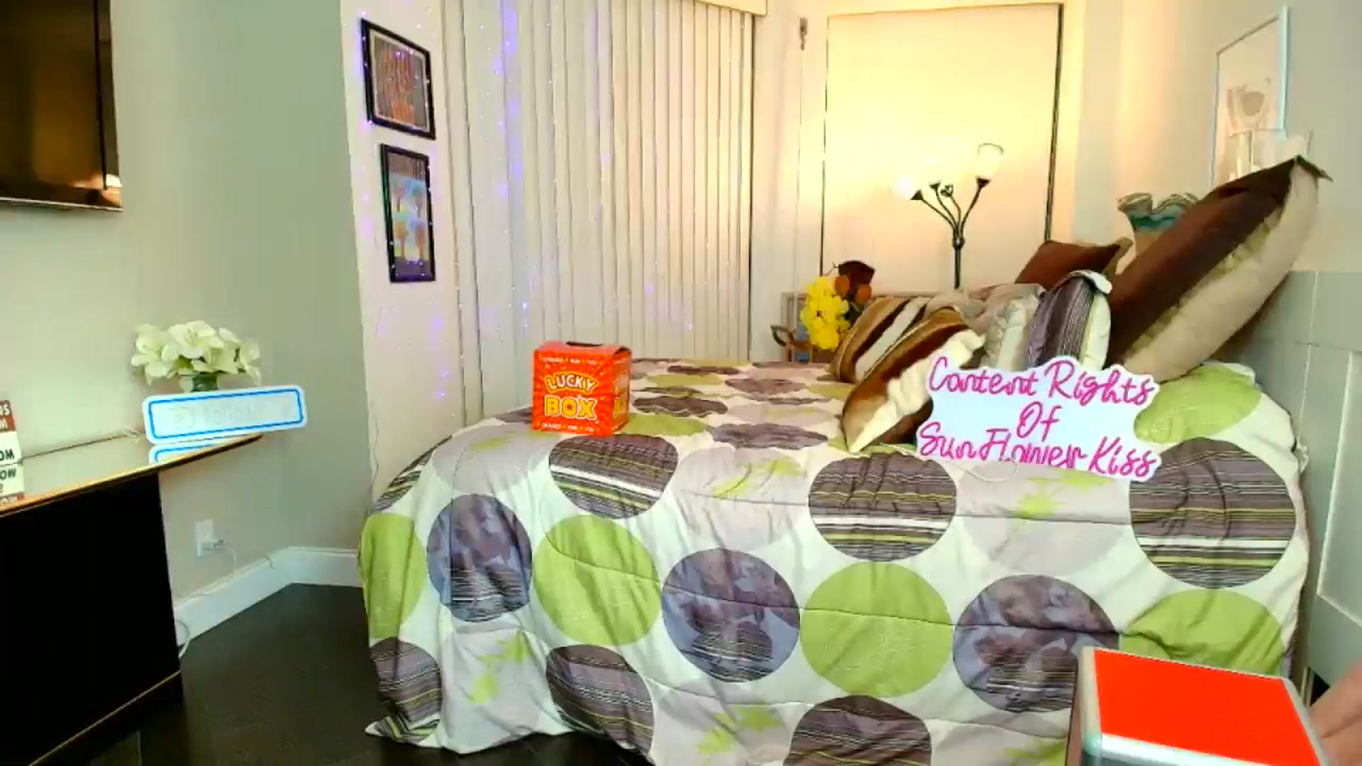 Gallery image thumbnail from SunFlowerKiss's myfreecams stream on, 12/13/2025, 06:02 image 15 of 20