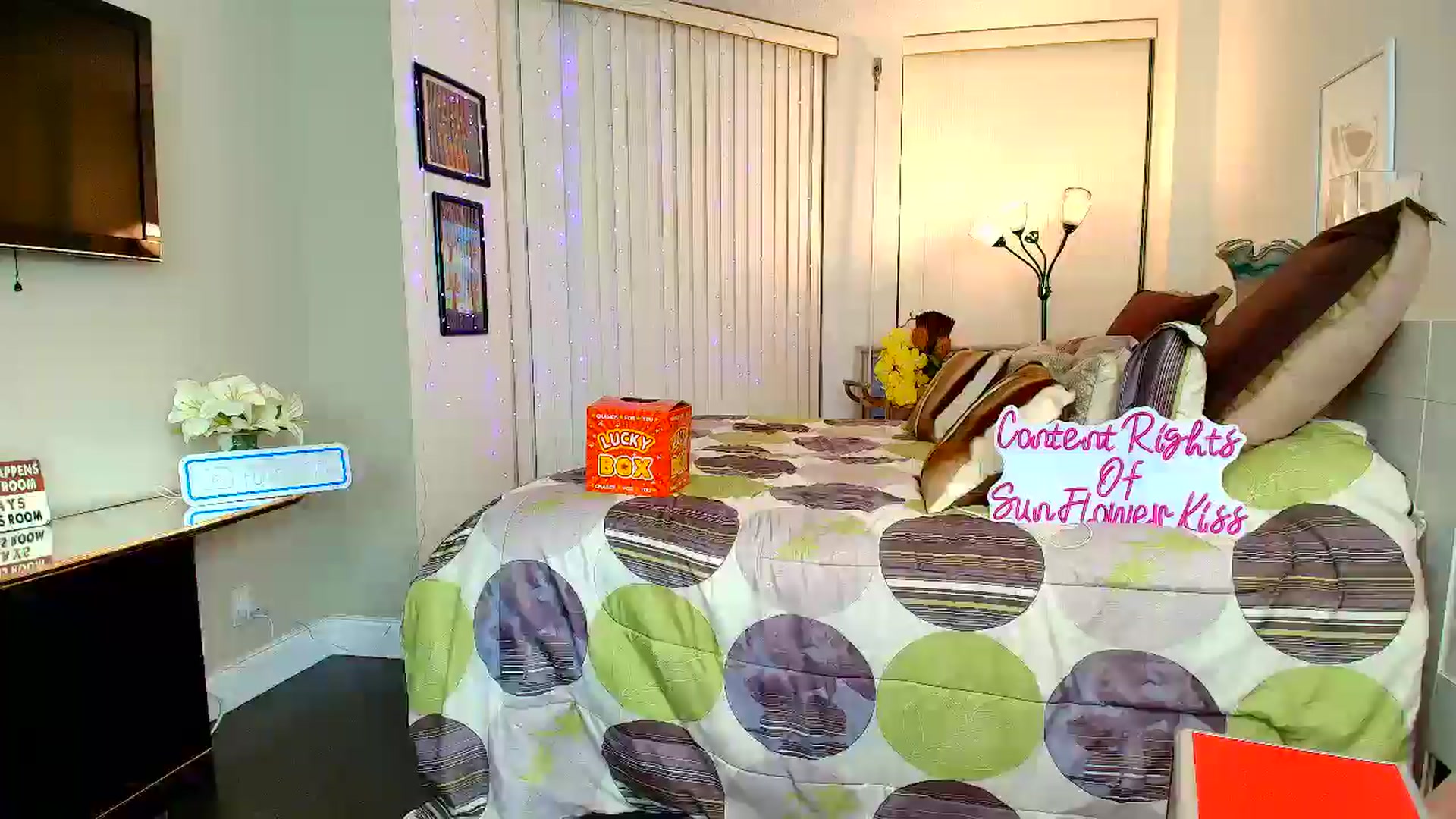 Gallery image thumbnail from SunFlowerKiss's myfreecams stream on, 12/13/2025, 06:02 image 13 of 20