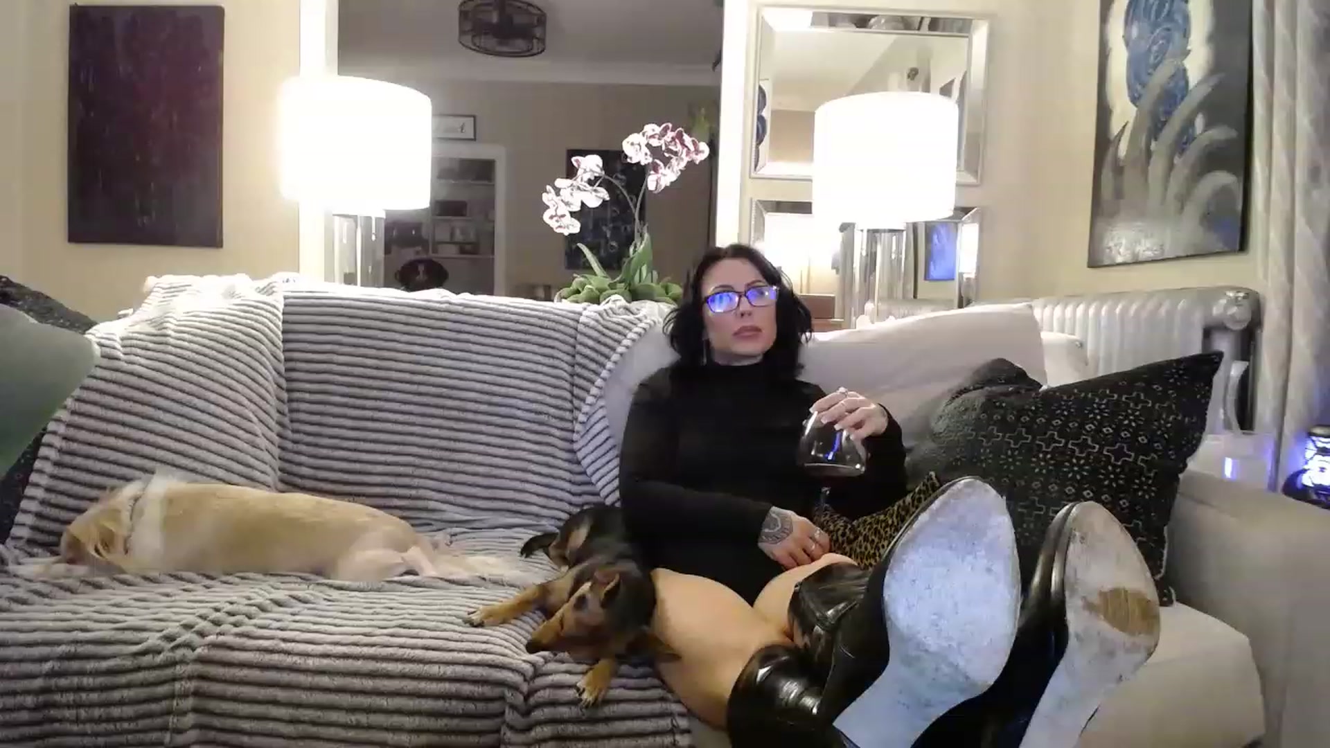 Gallery image thumbnail from SunFunBunny's myfreecams stream on, 12/27/2022, 07:46 image 17 of 20