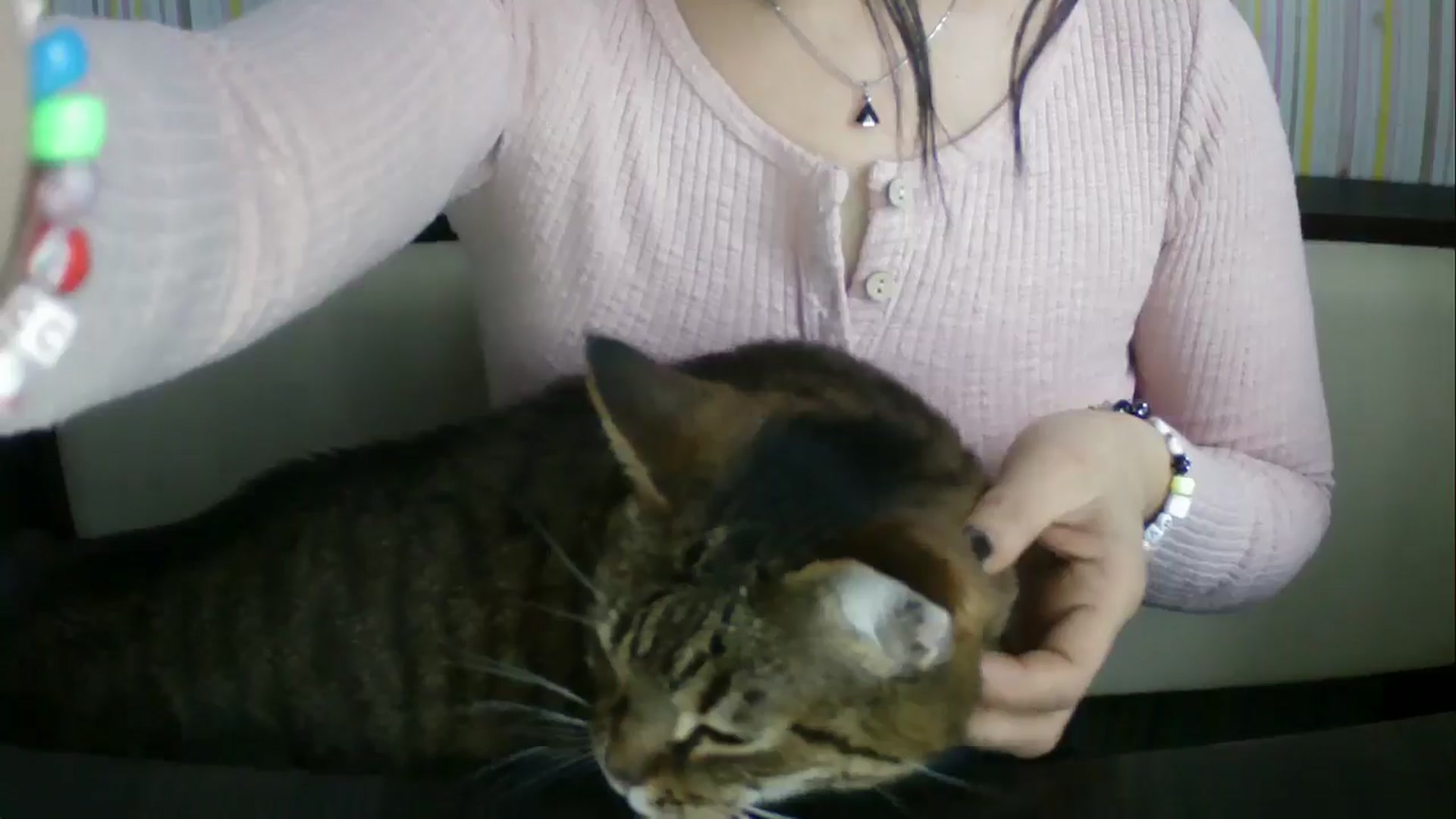 Gallery image thumbnail from SunShine90's myfreecams stream on, 12/23/2025, 13:26 image 14 of 20