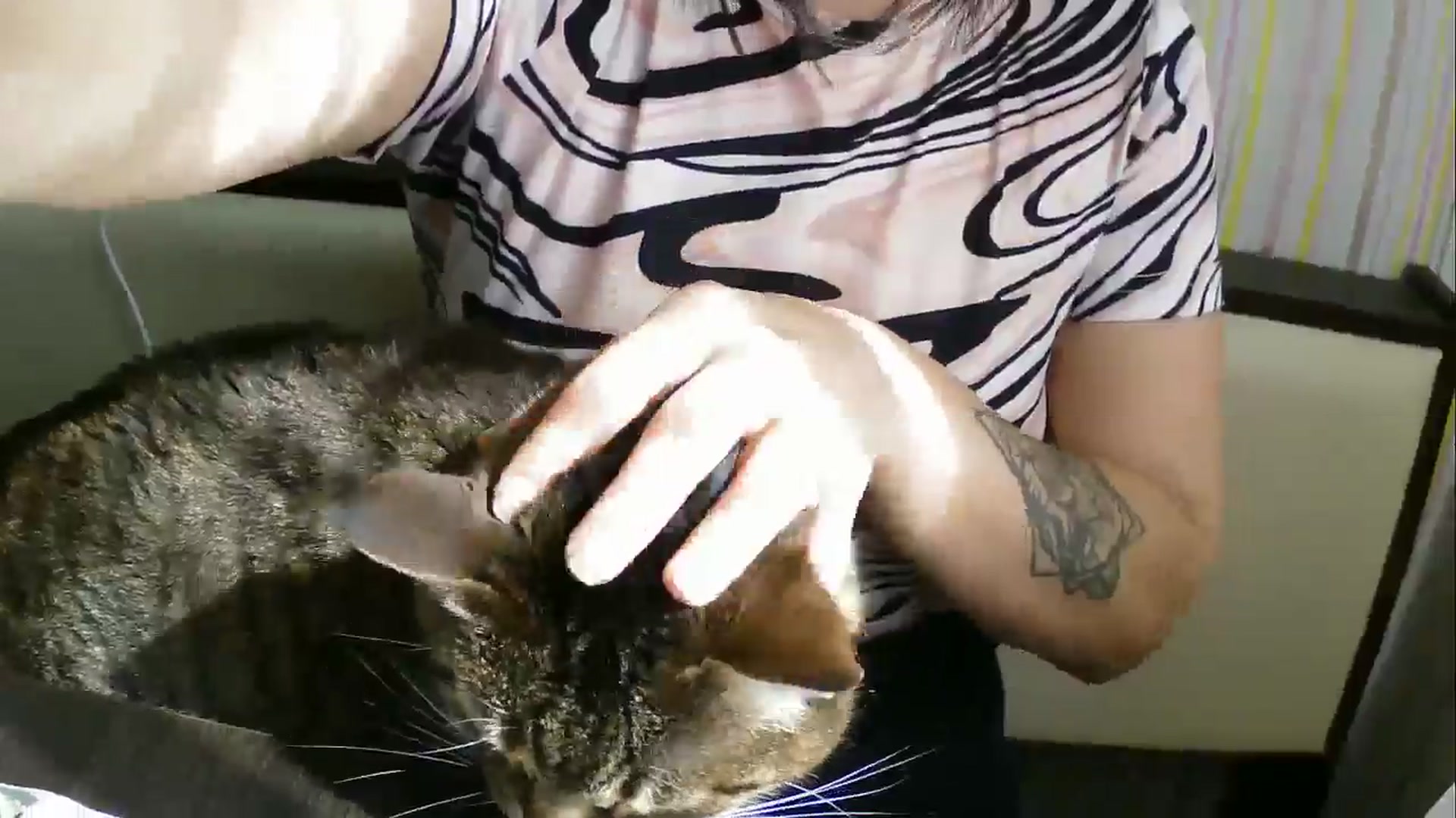Gallery image thumbnail from SunShine90's myfreecams stream on, 04/03/2026, 11:44 image 12 of 20