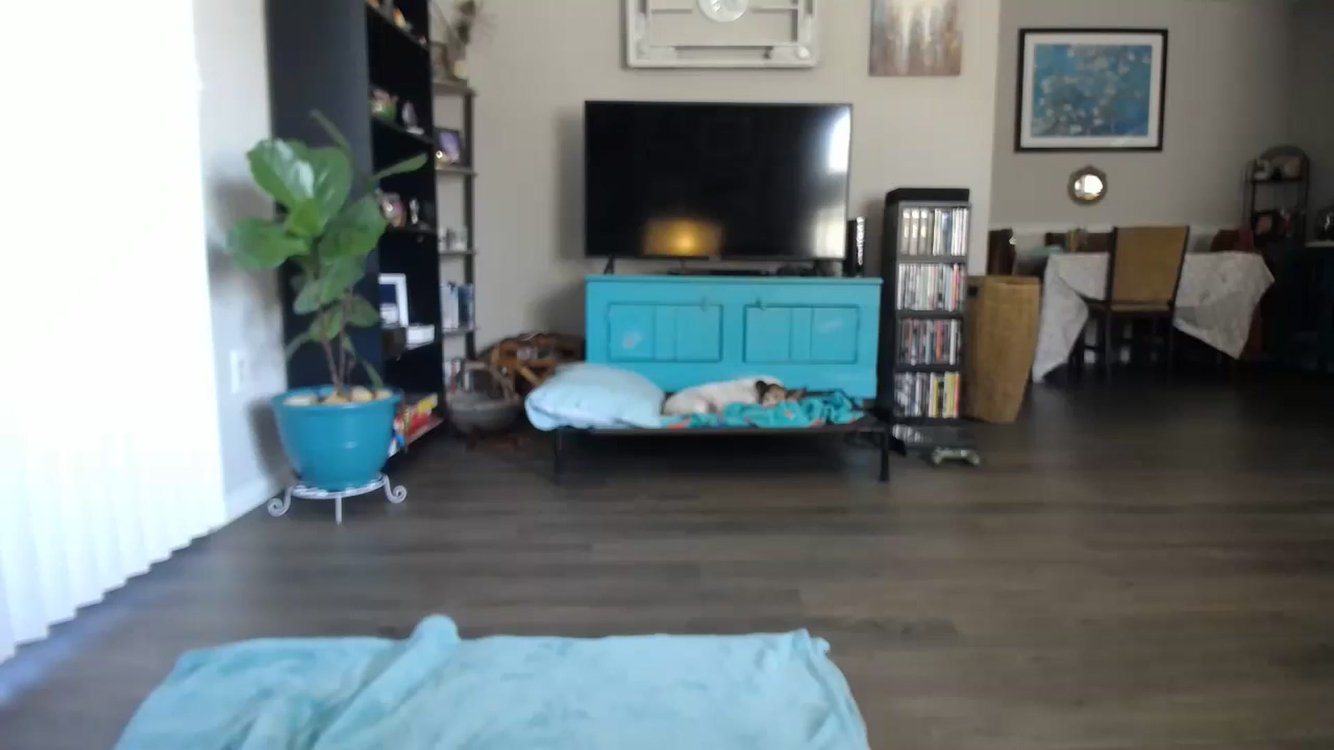 Gallery image thumbnail from Sunny_Charms's myfreecams stream on, 09/11/2023, 14:41 image 18 of 20