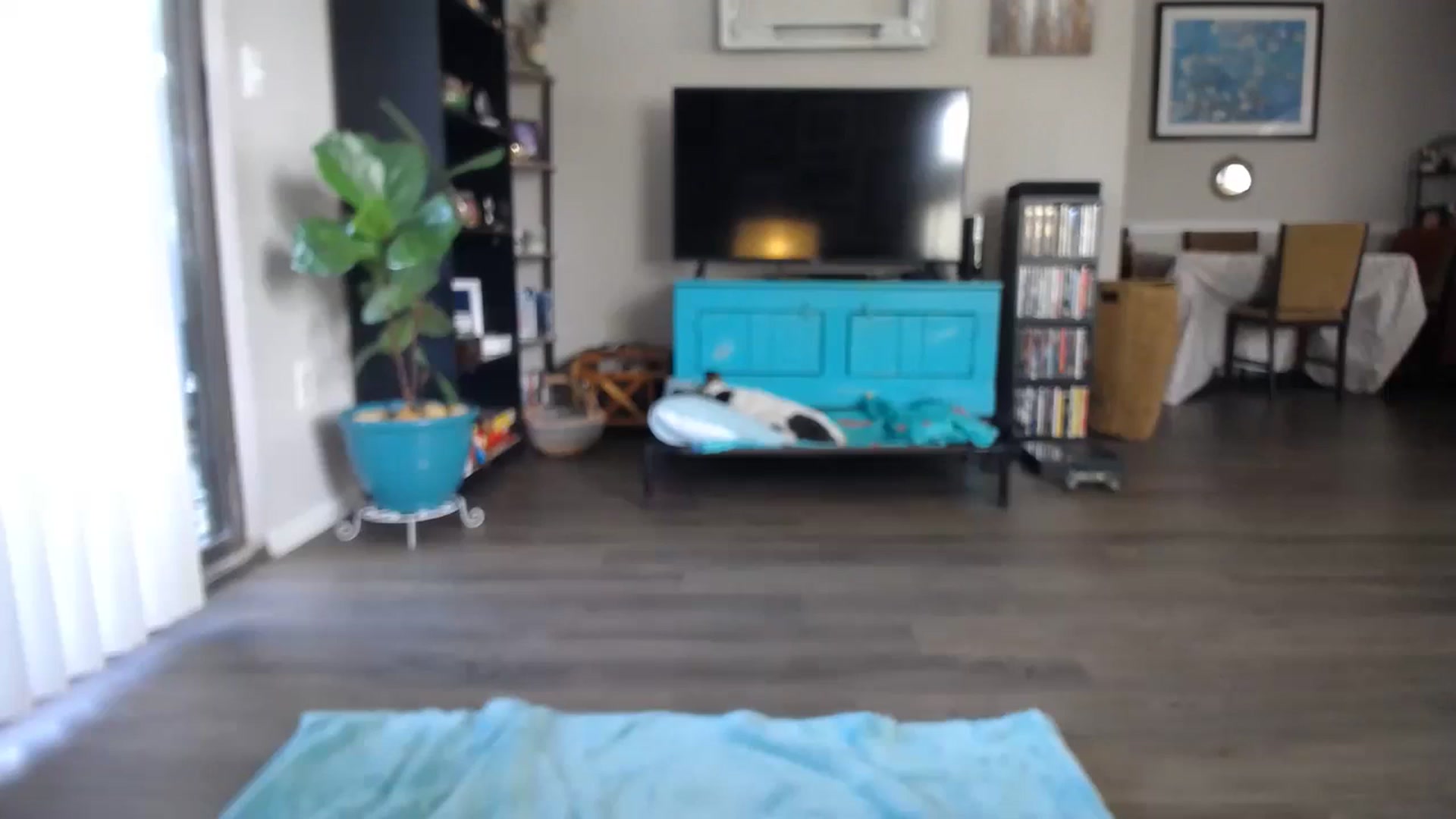 Gallery image thumbnail from Sunny_Charms's myfreecams stream on, 09/15/2023, 14:25 image 1 of 20