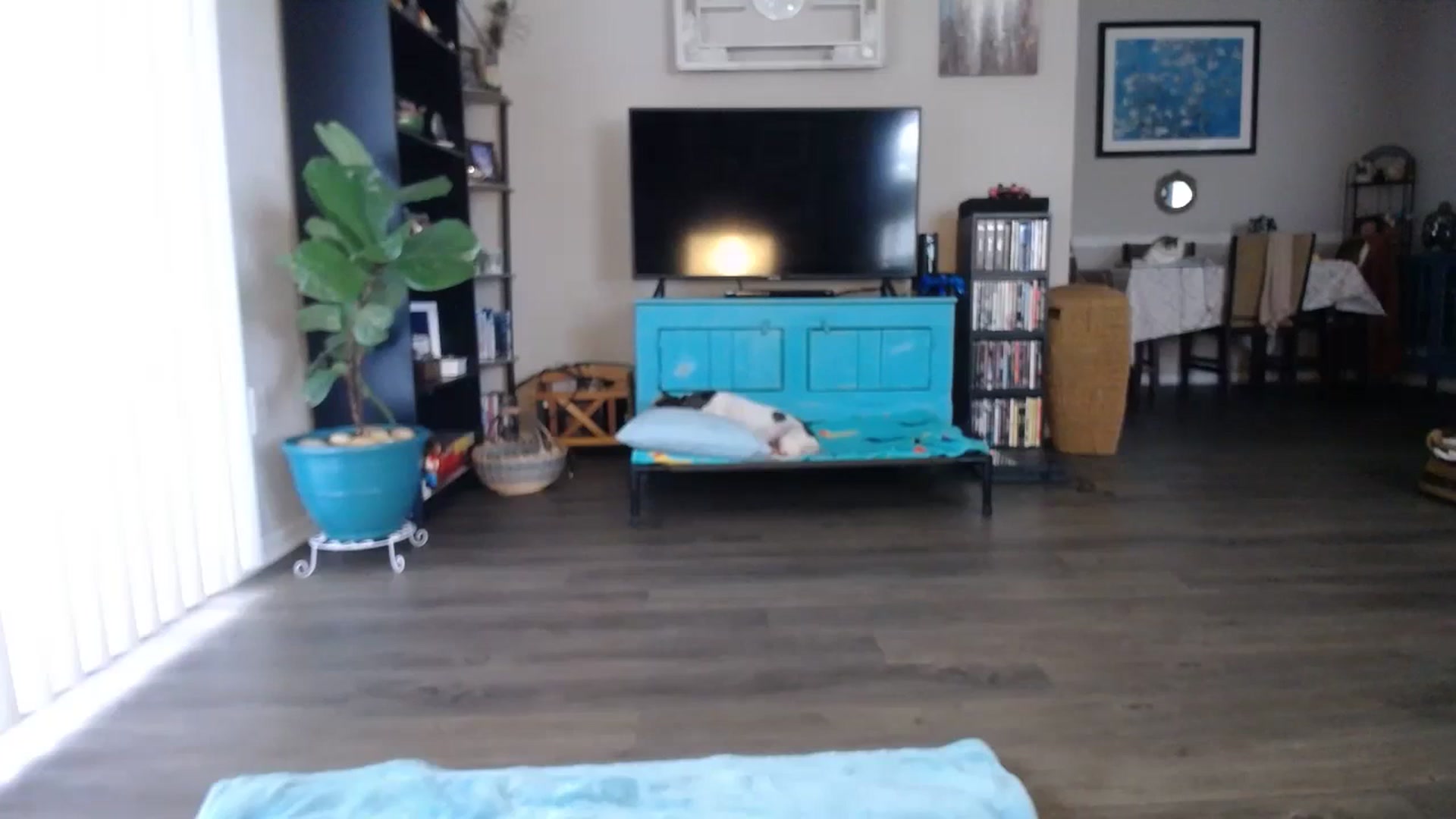 Gallery image thumbnail from Sunny_Charms's myfreecams stream on, 09/28/2023, 15:24 image 19 of 20