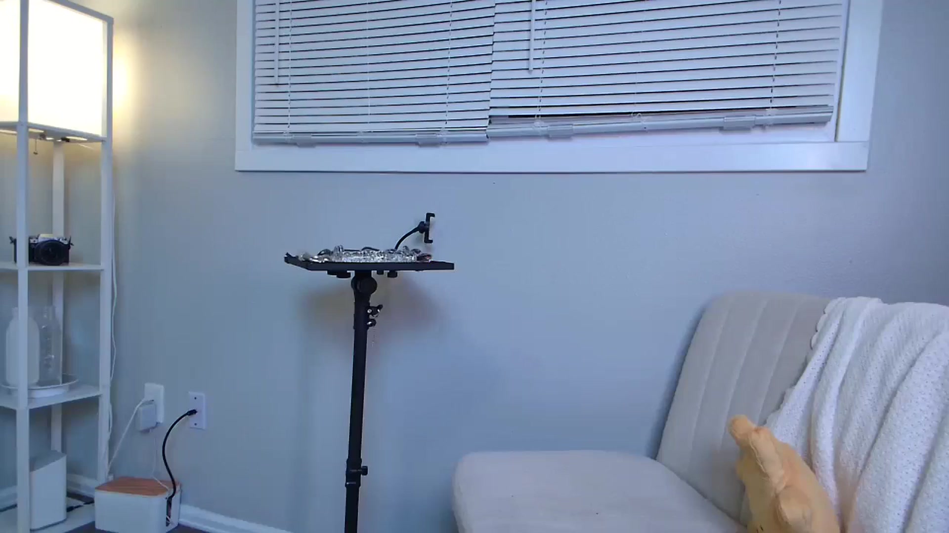 Gallery image thumbnail from SunnylilDays's myfreecams stream on, 08/01/2024, 03:30 image 2 of 20