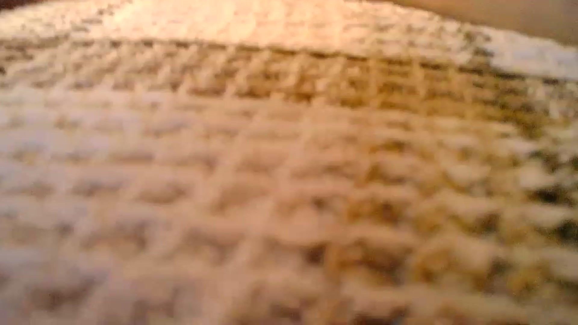 Gallery image thumbnail from Sunrise_Ntl's myfreecams stream on, 06/24/2023, 19:53 image 16 of 20