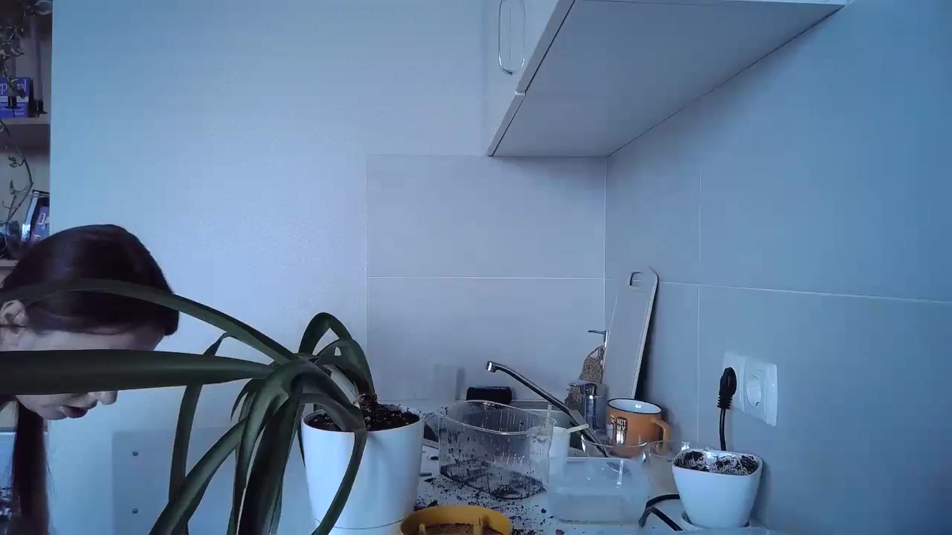 Gallery image thumbnail from Sunrise_Ntl's myfreecams stream on, 09/04/2023, 14:02 image 17 of 20