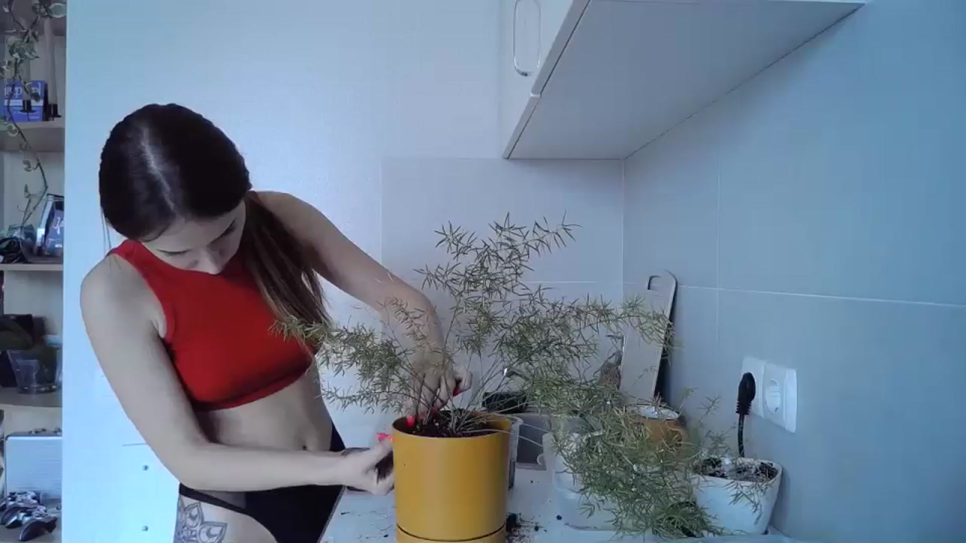 Gallery image thumbnail from Sunrise_Ntl's myfreecams stream on, 09/04/2023, 14:02 image 16 of 20