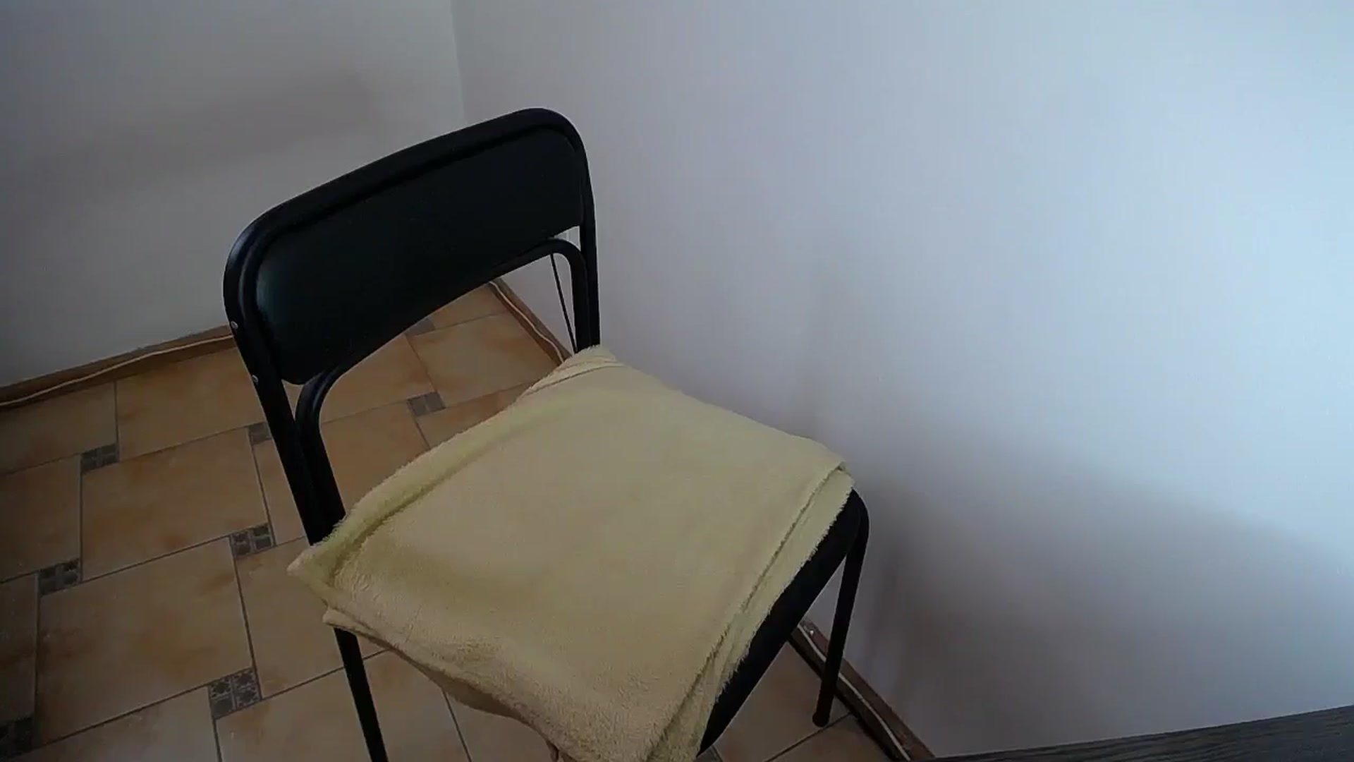 Gallery image thumbnail from Sunshine_alis's myfreecams stream on, 07/25/2024, 14:11 image 17 of 20