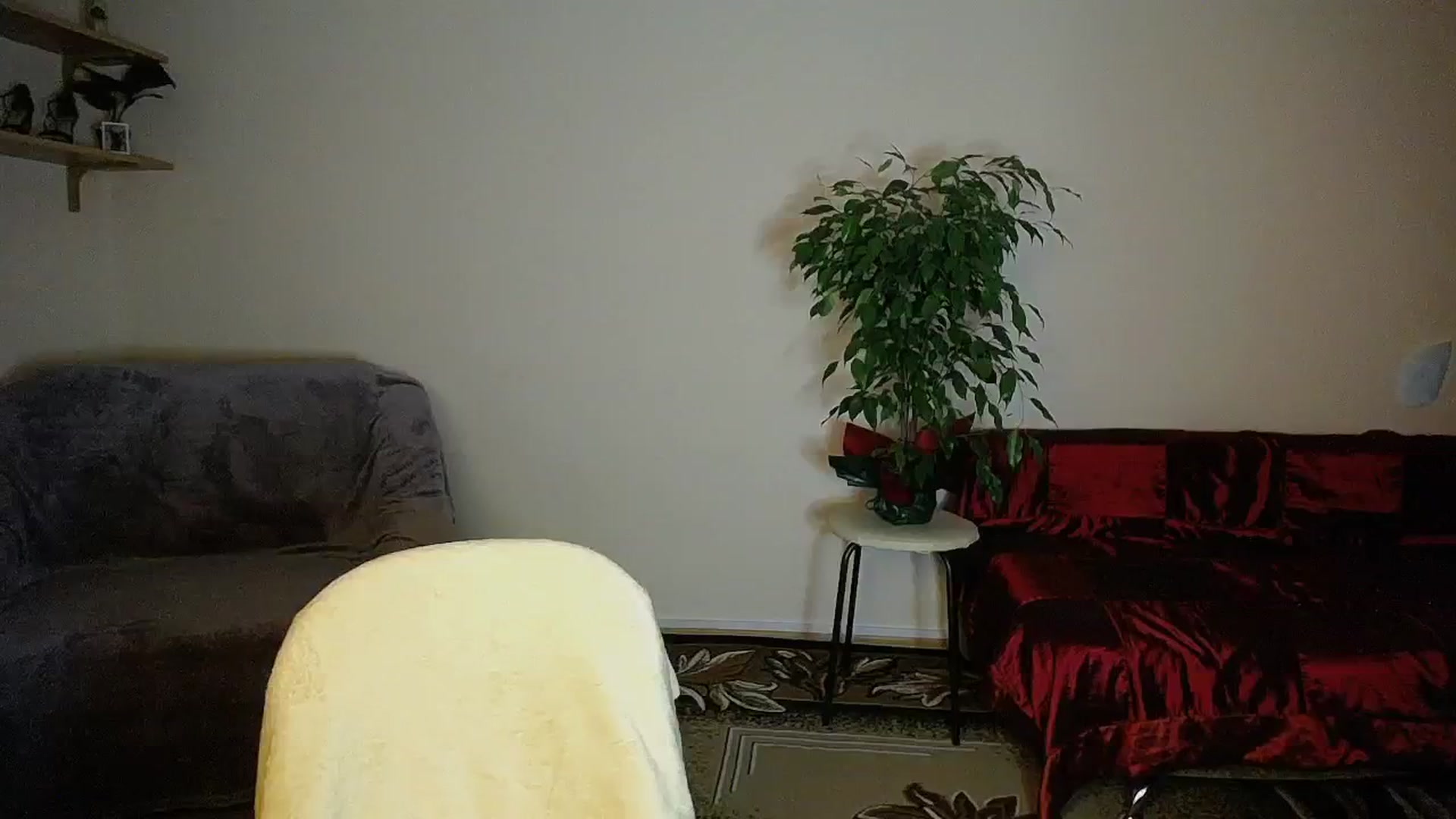 Gallery image thumbnail from Sunshine_alis's myfreecams stream on, 09/08/2024, 16:39 image 15 of 20