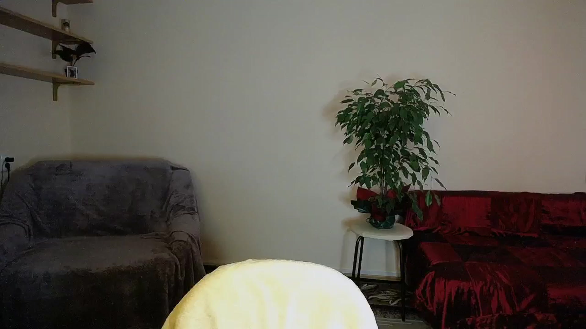Gallery image thumbnail from Sunshine_alis's myfreecams stream on, 09/13/2024, 12:50 image 14 of 20