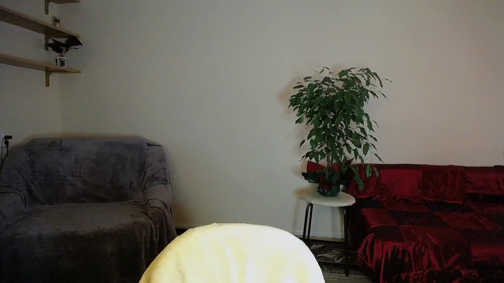 Gallery image thumbnail from Sunshine_alis's myfreecams stream on, 09/13/2024, 12:50 image 13 of 20