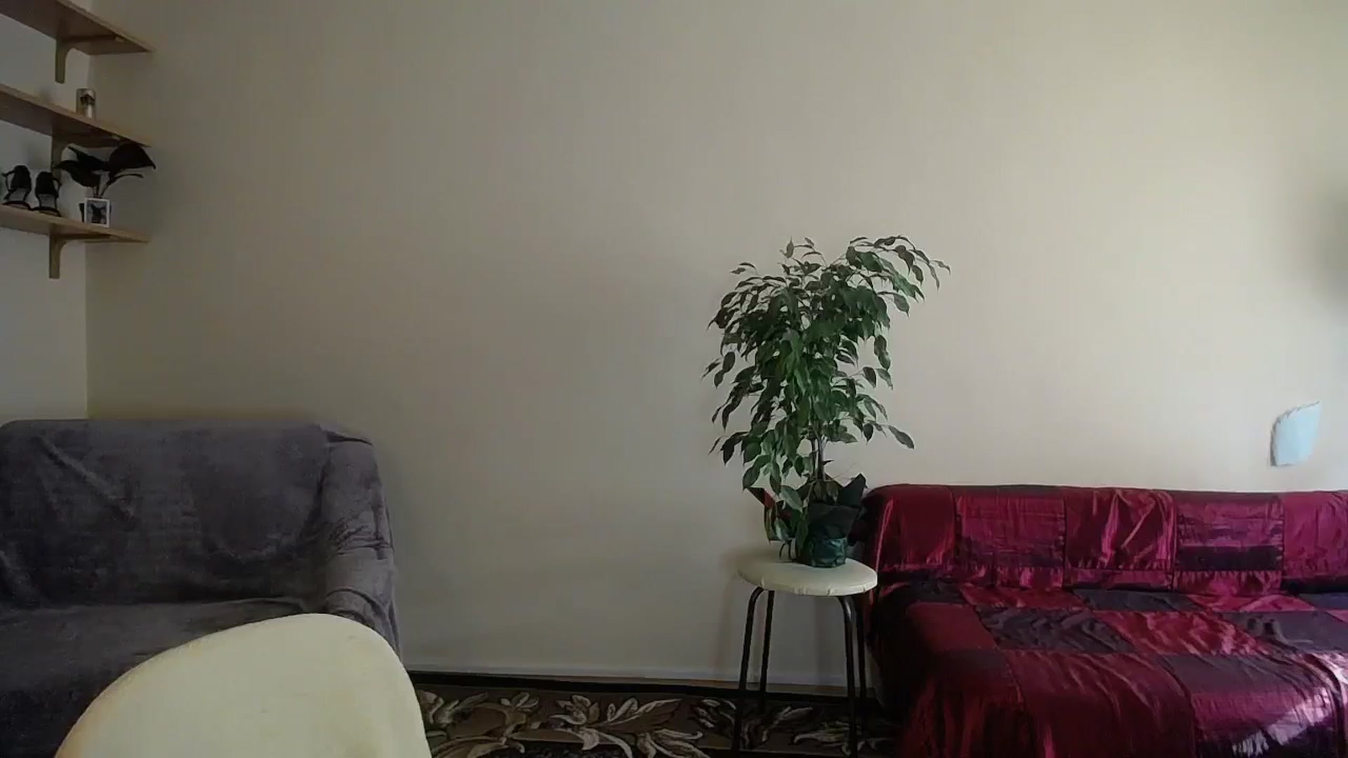 Gallery image thumbnail from Sunshine_alis's myfreecams stream on, 09/17/2024, 14:14 image 17 of 20