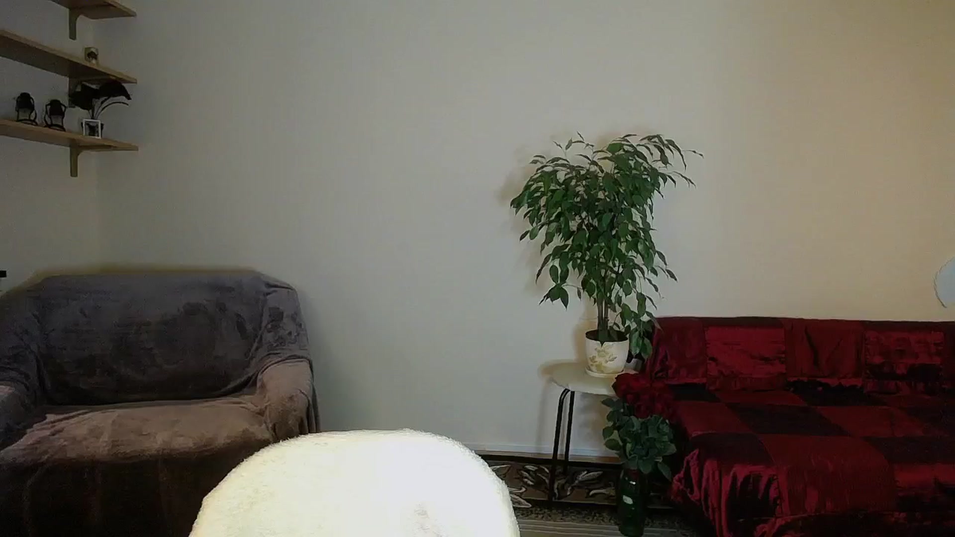Gallery image thumbnail from Sunshine_alis's myfreecams stream on, 10/05/2024, 17:30 image 17 of 20