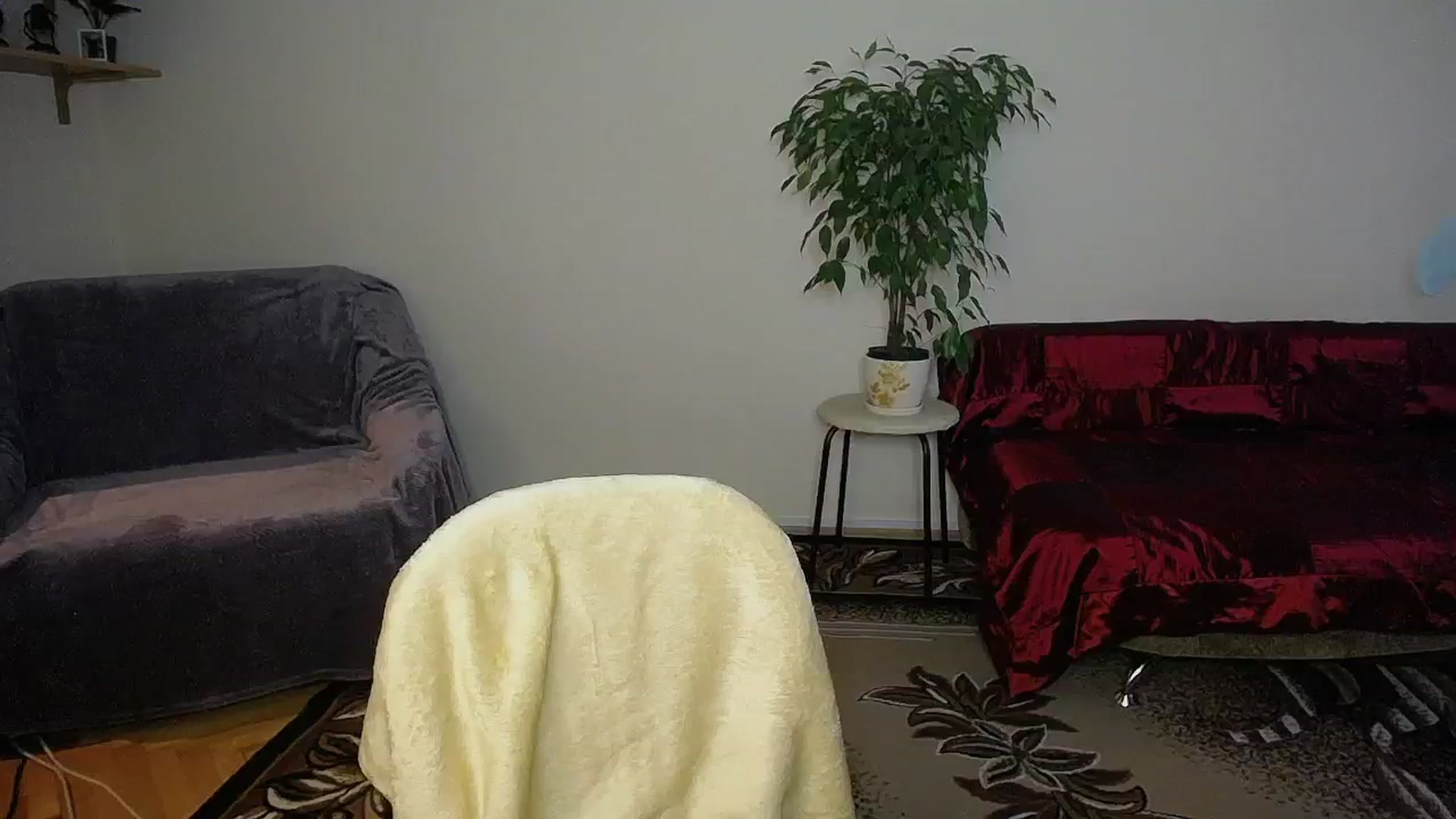 Gallery image thumbnail from Sunshine_alis's myfreecams stream on, 10/09/2024, 15:48 image 18 of 20