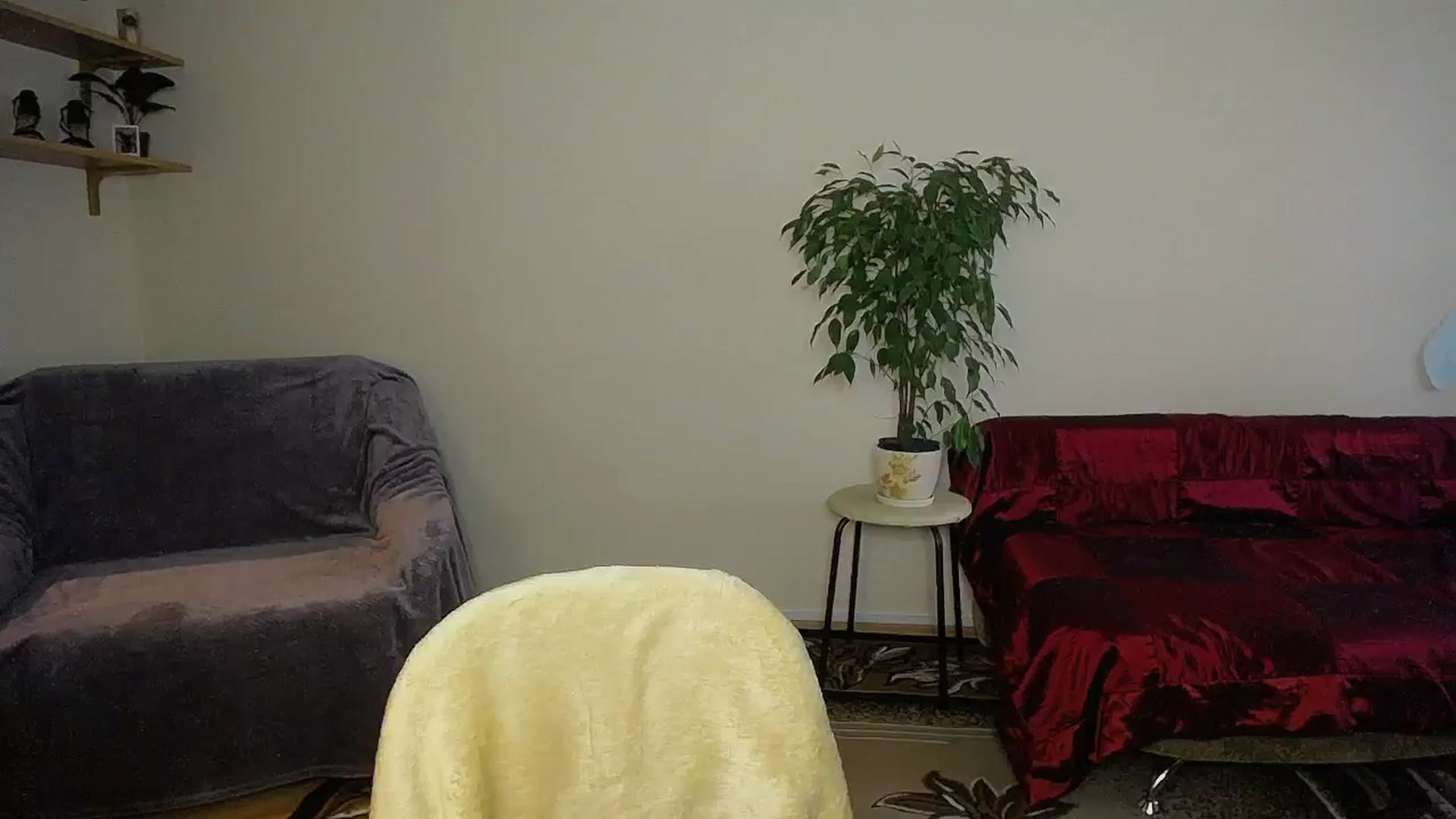 Gallery image thumbnail from Sunshine_alis's myfreecams stream on, 10/09/2024, 15:48 image 14 of 20