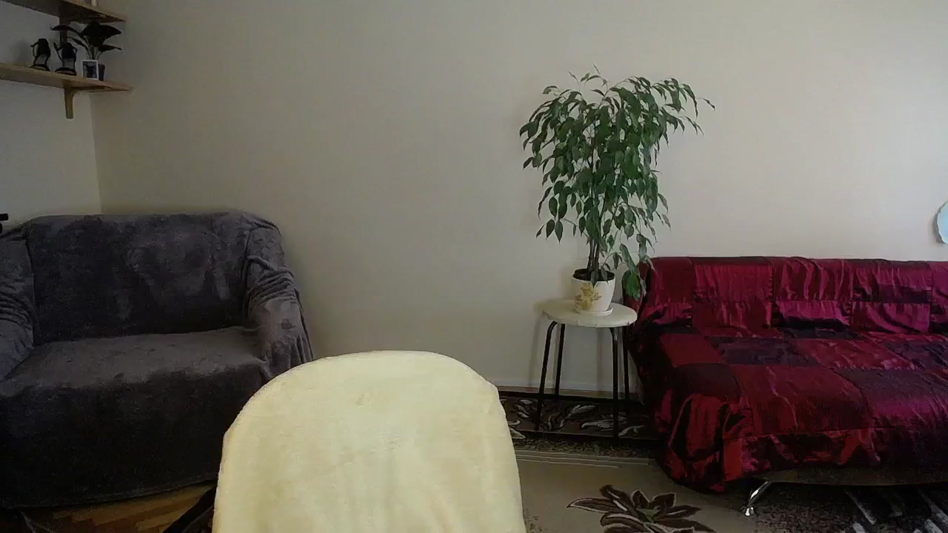 Gallery image thumbnail from Sunshine_alis's myfreecams stream on, 10/15/2024, 13:31 image 19 of 20
