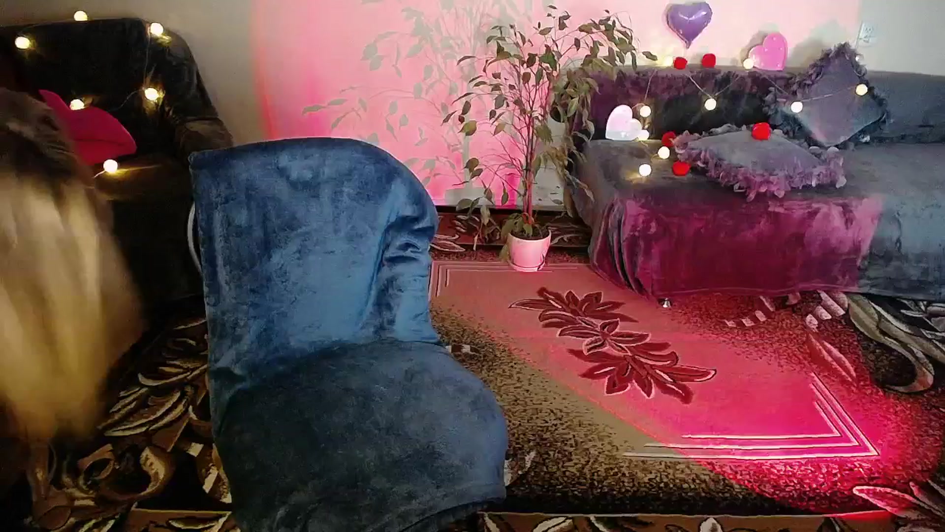 Gallery image thumbnail from Sunshine_alis's myfreecams stream on, 11/07/2025, 19:44 image 14 of 20