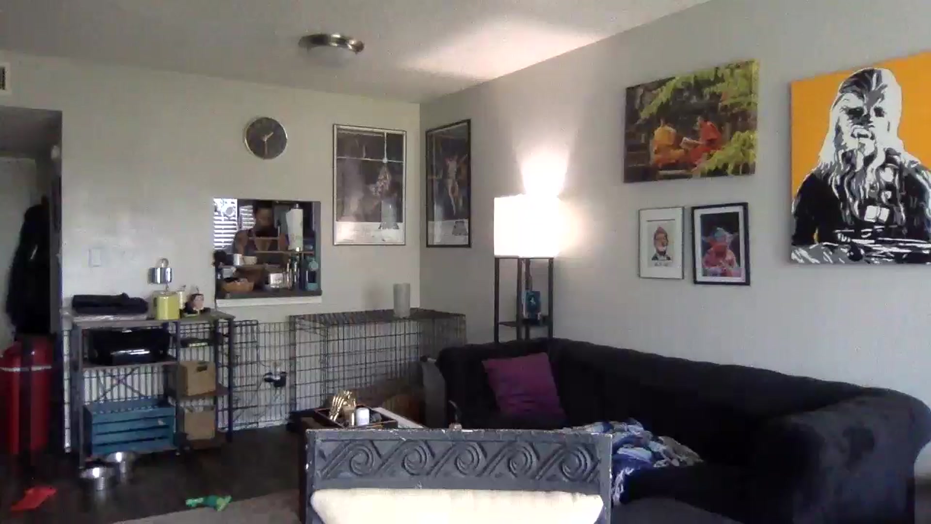 Gallery image thumbnail from Sunshinejedi's myfreecams stream on, 03/08/2025, 18:30 image 12 of 20