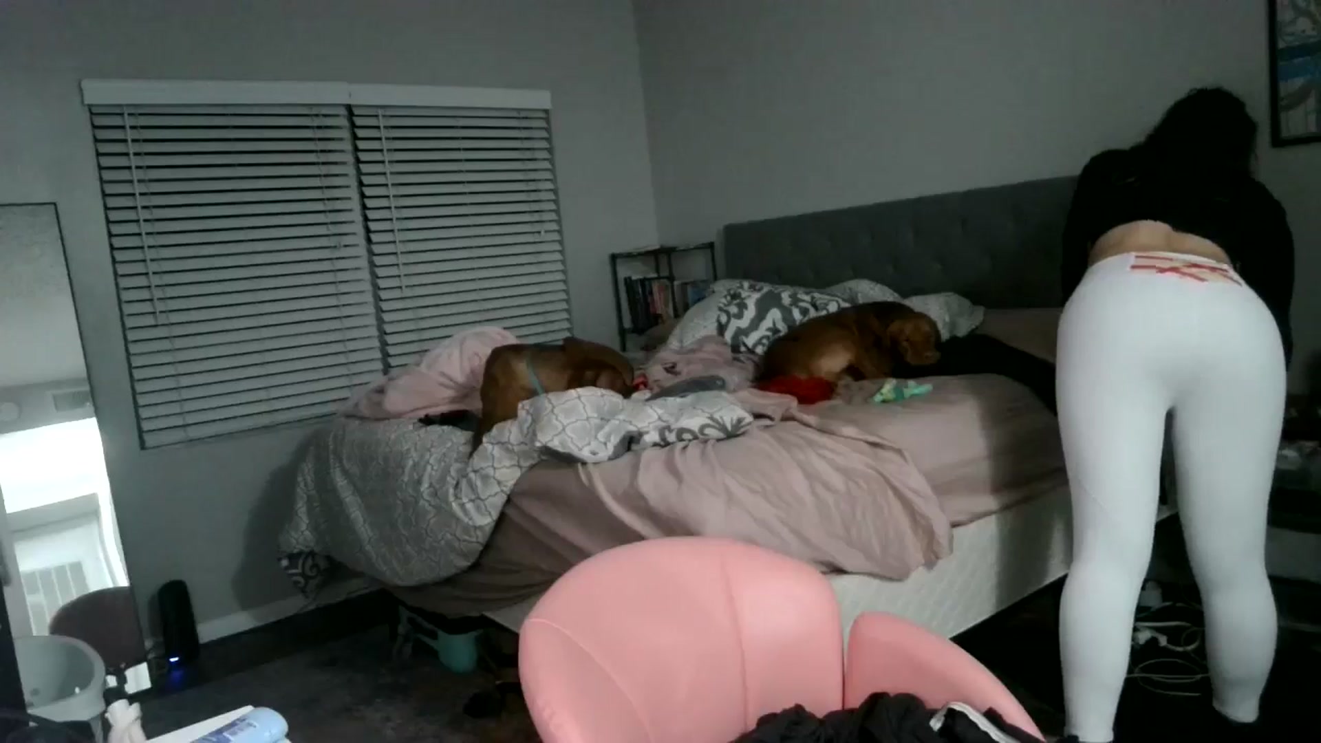 Gallery image thumbnail from Sunshinejedi's myfreecams stream on, 03/12/2025, 06:22 image 6 of 20