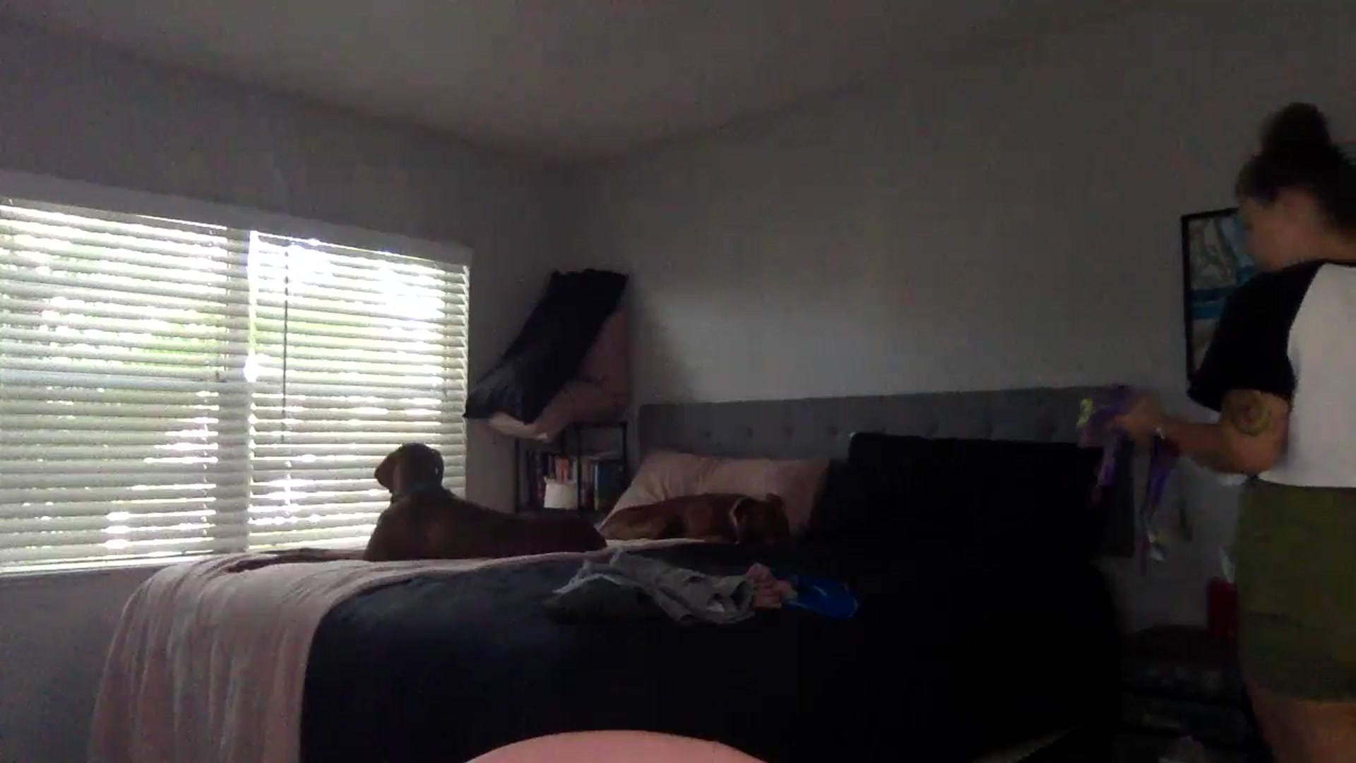 Gallery image thumbnail from Sunshinejedi's myfreecams stream on, 04/11/2025, 13:58 image 2 of 20