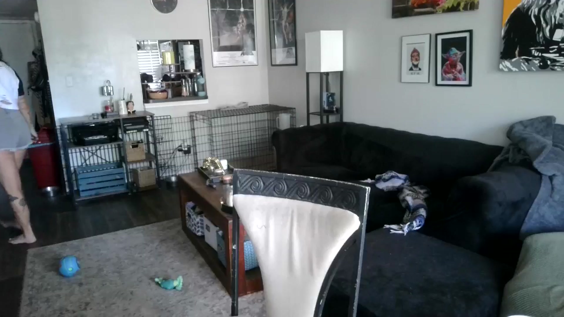 Gallery image thumbnail from Sunshinejedi's myfreecams stream on, 04/11/2025, 15:39 image 20 of 20