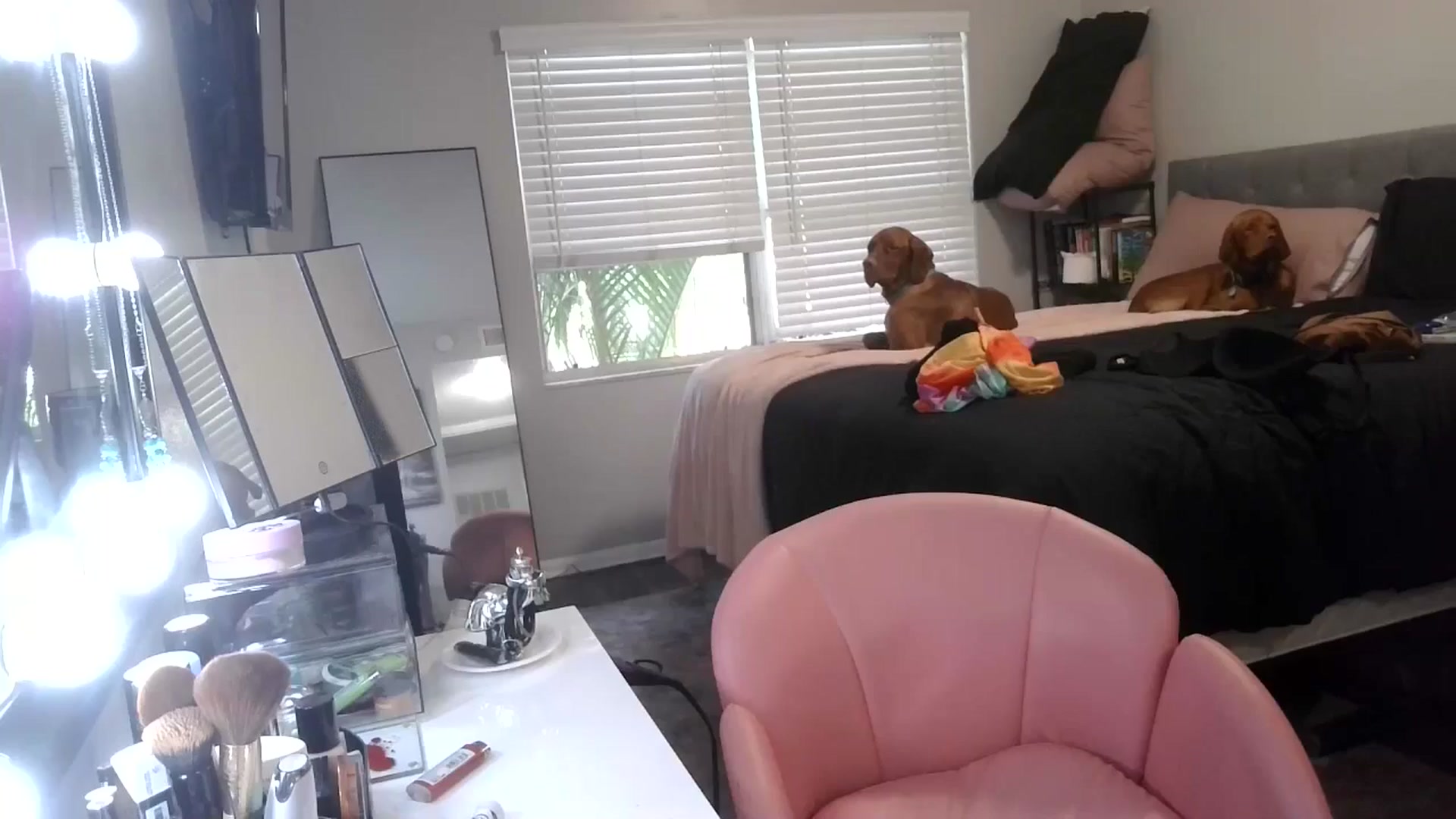 Gallery image thumbnail from Sunshinejedi's myfreecams stream on, 04/16/2025, 14:25 image 9 of 20