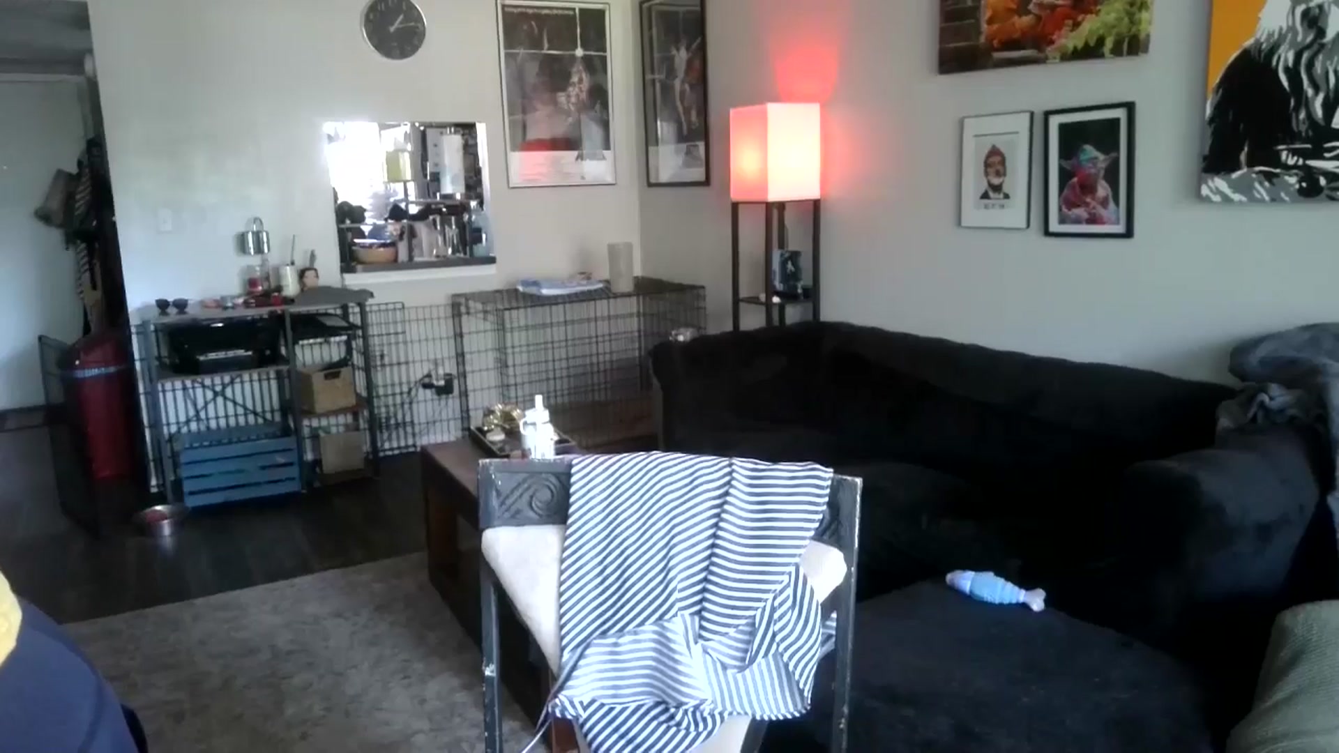 Gallery image thumbnail from Sunshinejedi's myfreecams stream on, 04/16/2025, 18:08 image 18 of 20