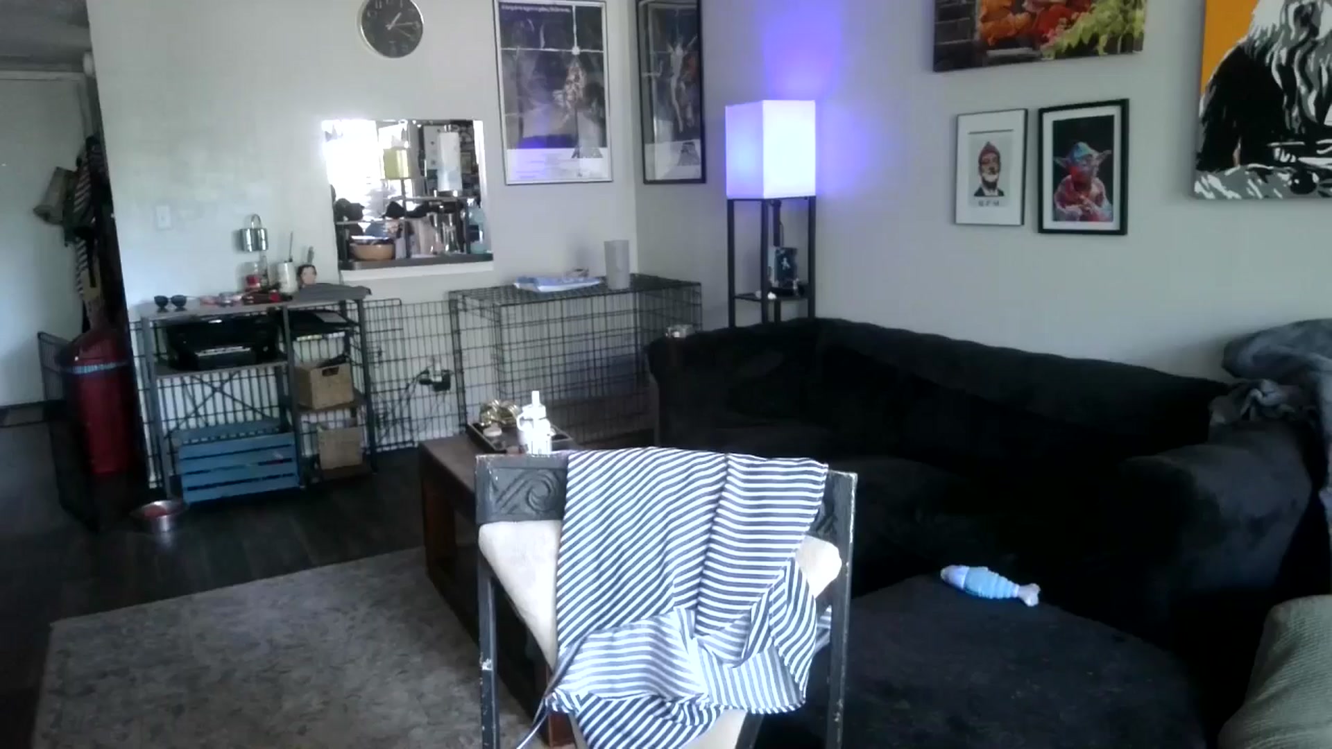 Gallery image thumbnail from Sunshinejedi's myfreecams stream on, 04/16/2025, 18:08 image 19 of 20