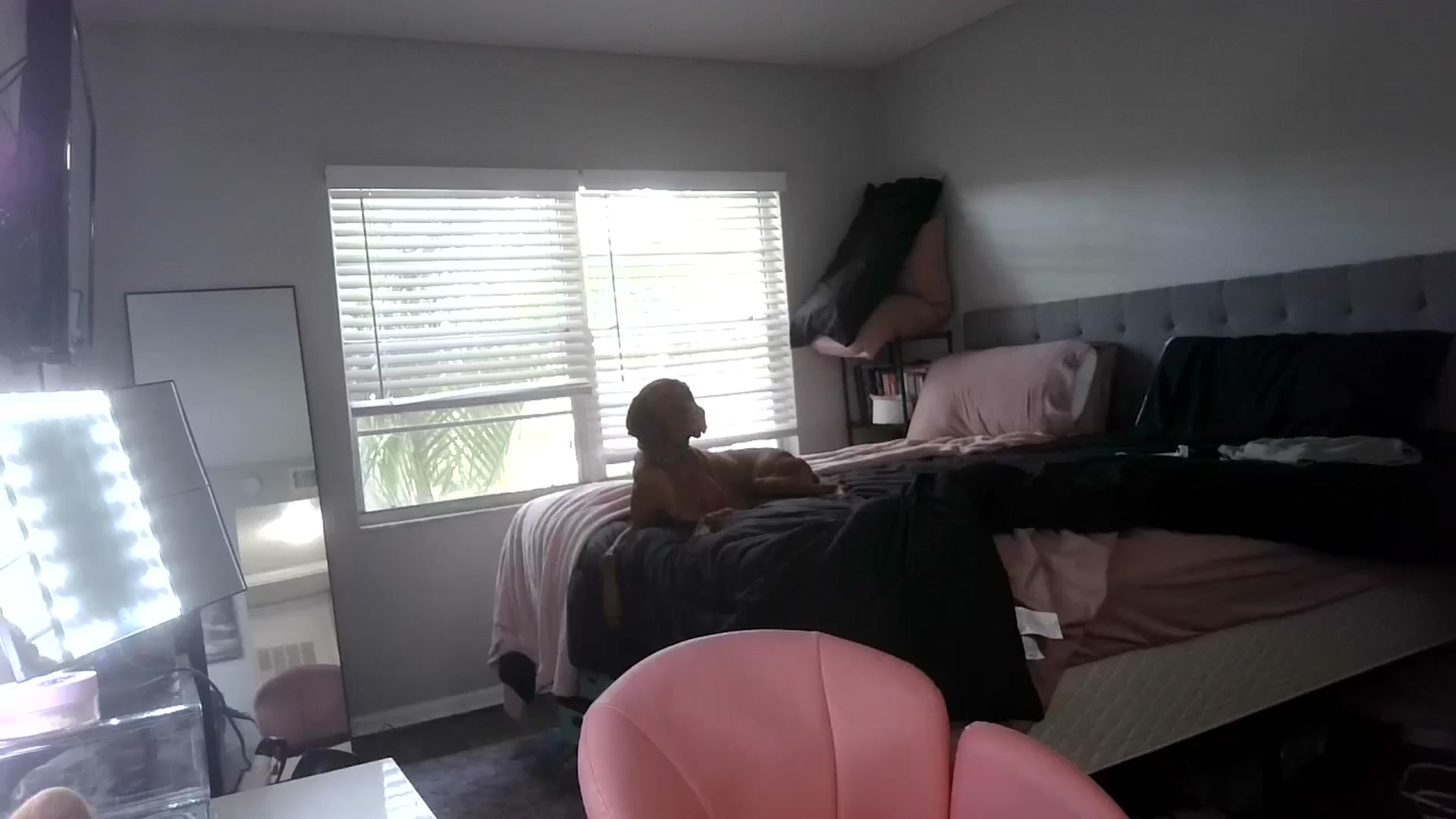 Gallery image thumbnail from Sunshinejedi's myfreecams stream on, 04/20/2025, 17:49 image 11 of 20