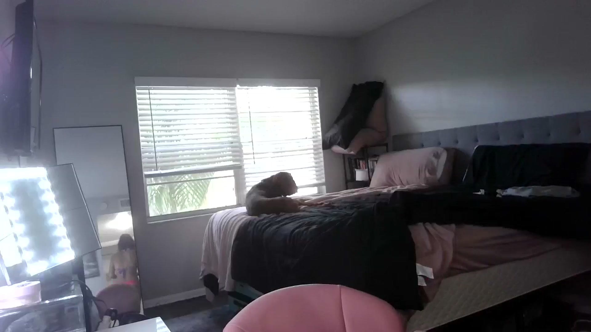 Gallery image thumbnail from Sunshinejedi's myfreecams stream on, 04/20/2025, 17:49 image 17 of 20