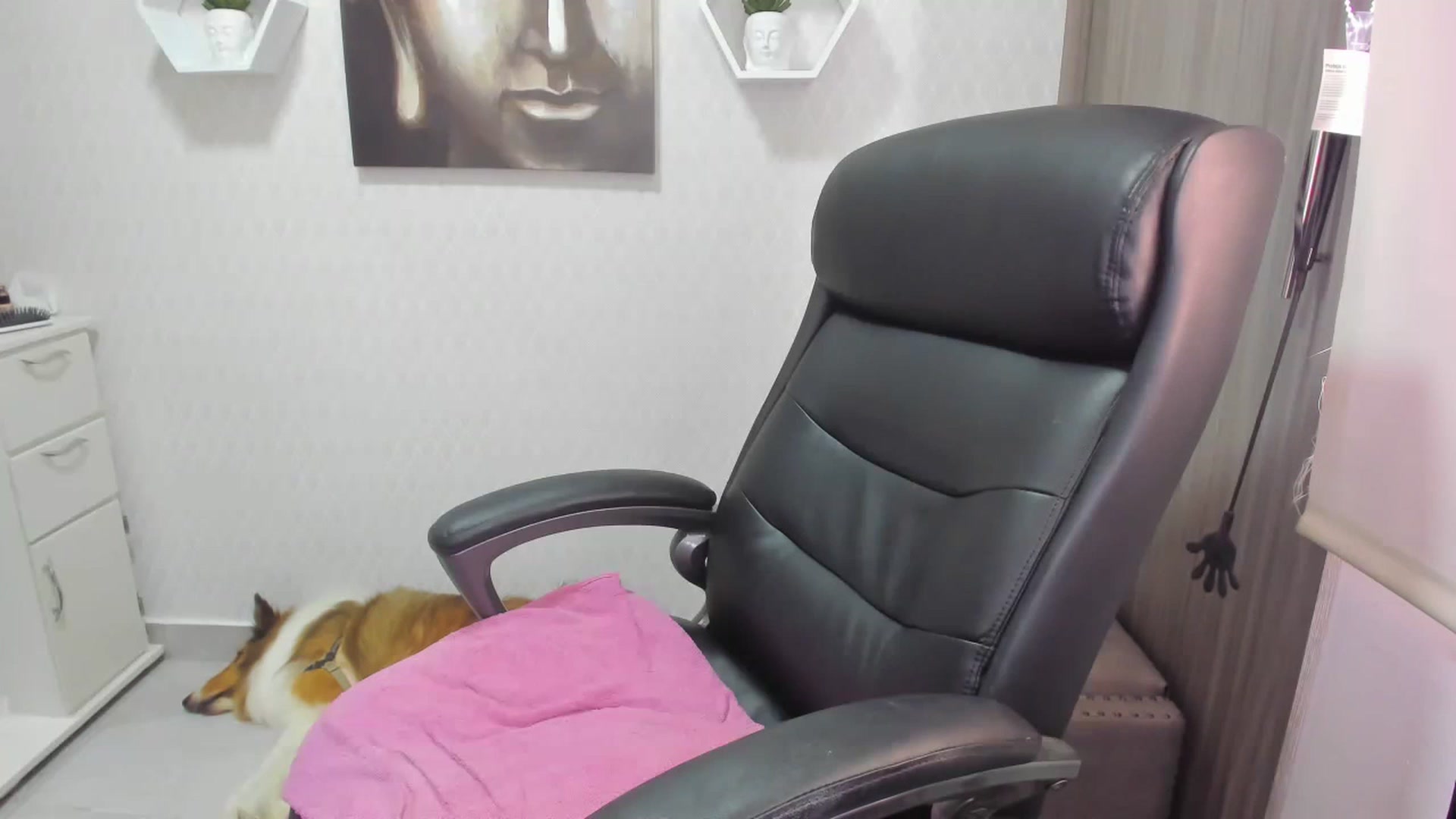 Gallery image thumbnail from Susan_lane's myfreecams stream on, 11/18/2022, 16:53 image 9 of 20