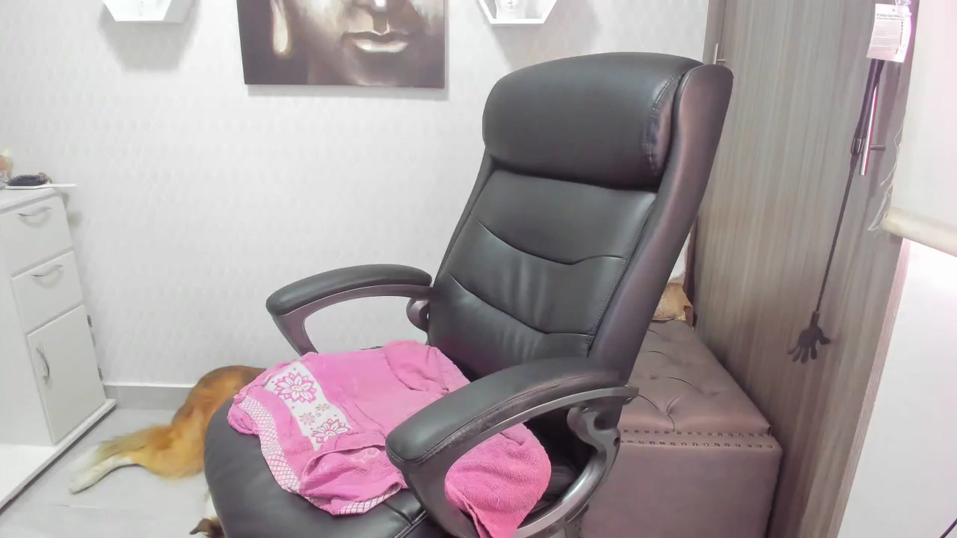 Gallery image thumbnail from Susan_lane's myfreecams stream on, 11/28/2022, 16:35 image 7 of 20