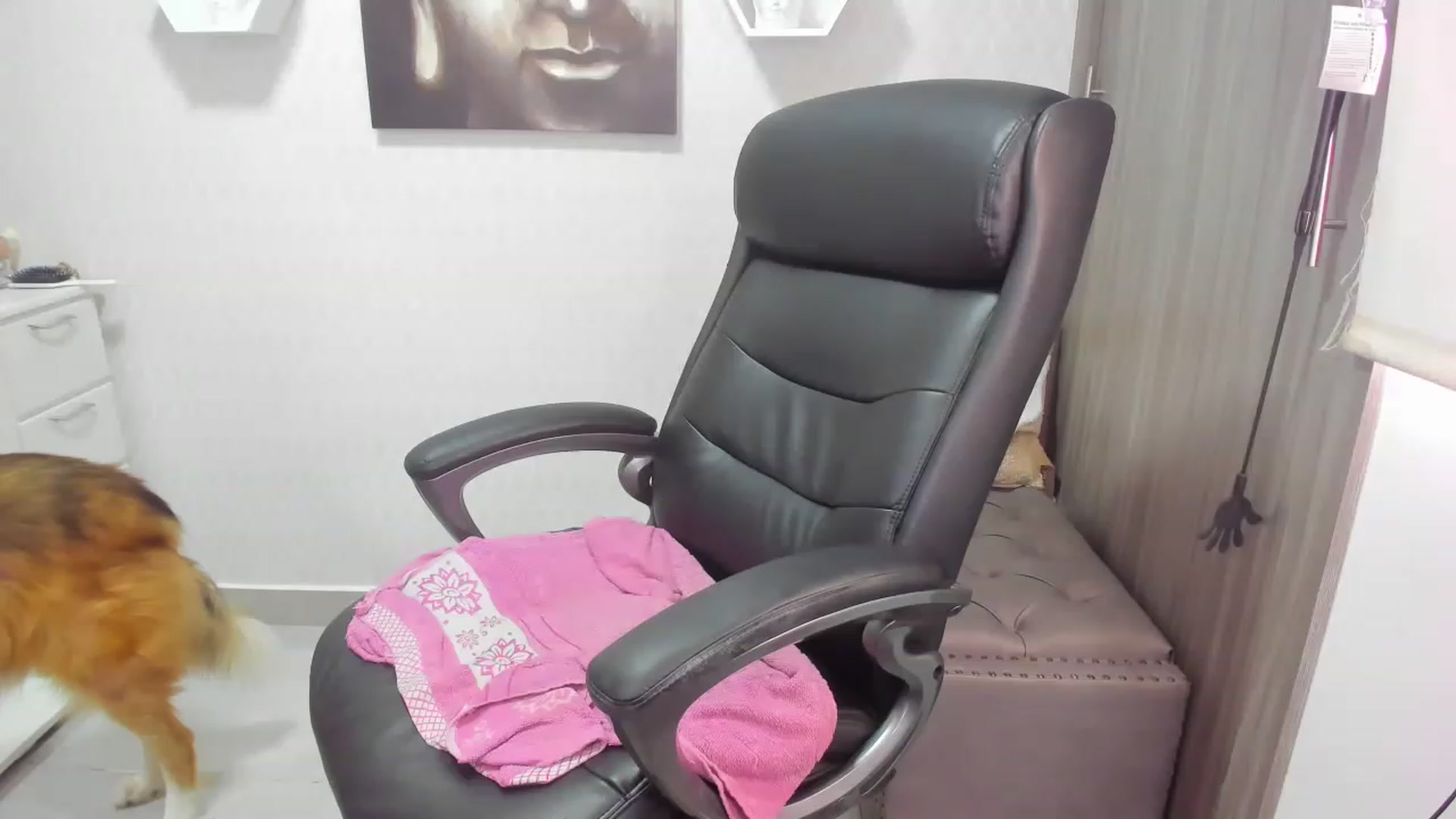 Gallery image thumbnail from Susan_lane's myfreecams stream on, 11/28/2022, 16:35 image 5 of 20