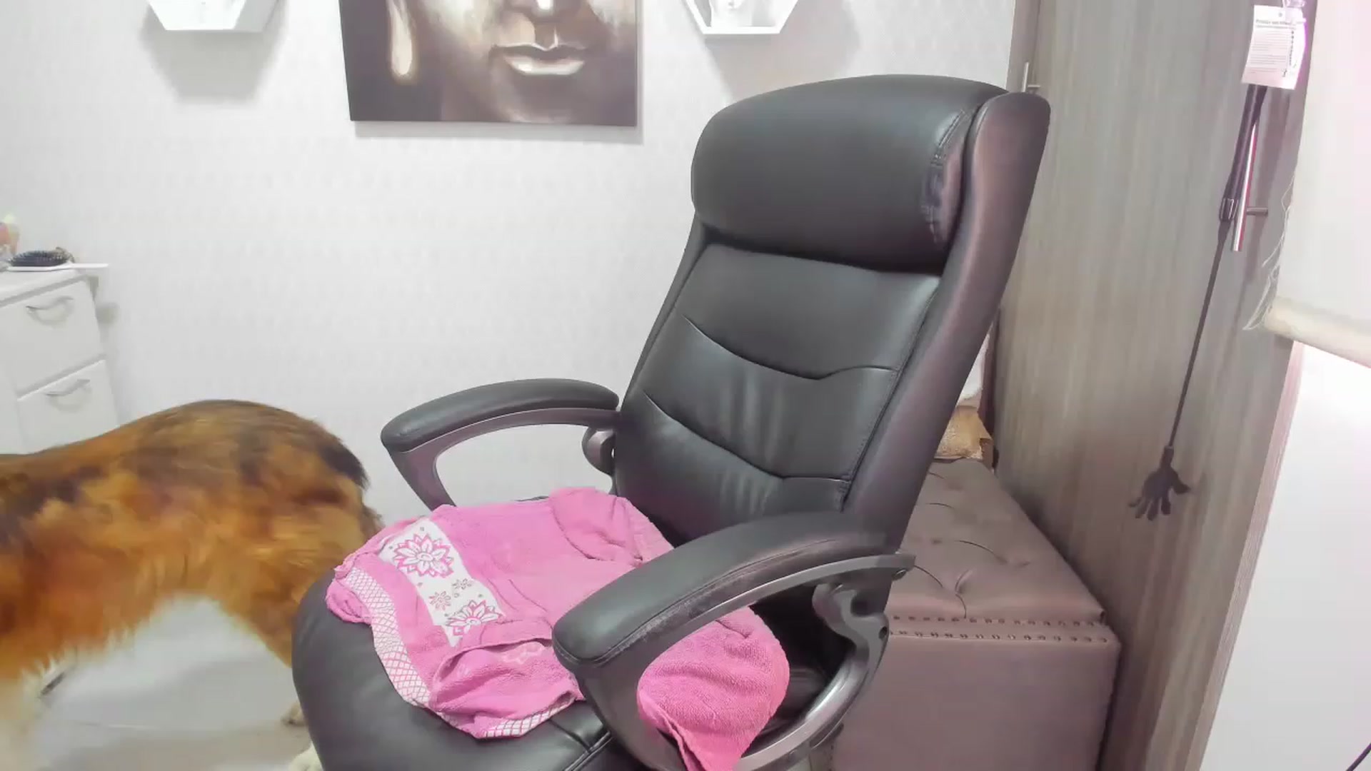 Gallery image thumbnail from Susan_lane's myfreecams stream on, 11/28/2022, 16:35 image 6 of 20