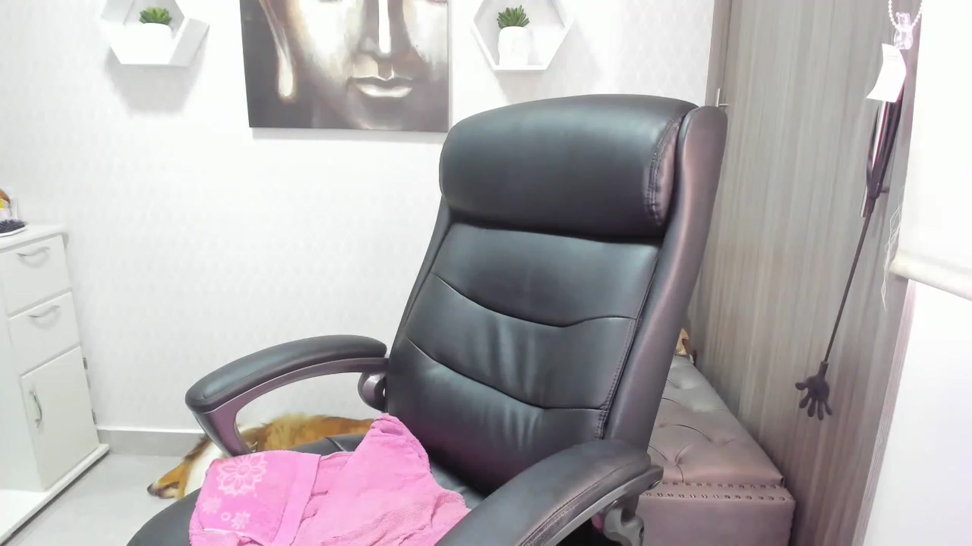 Gallery image thumbnail from Susan_lane's myfreecams stream on, 12/05/2022, 15:50 image 13 of 20