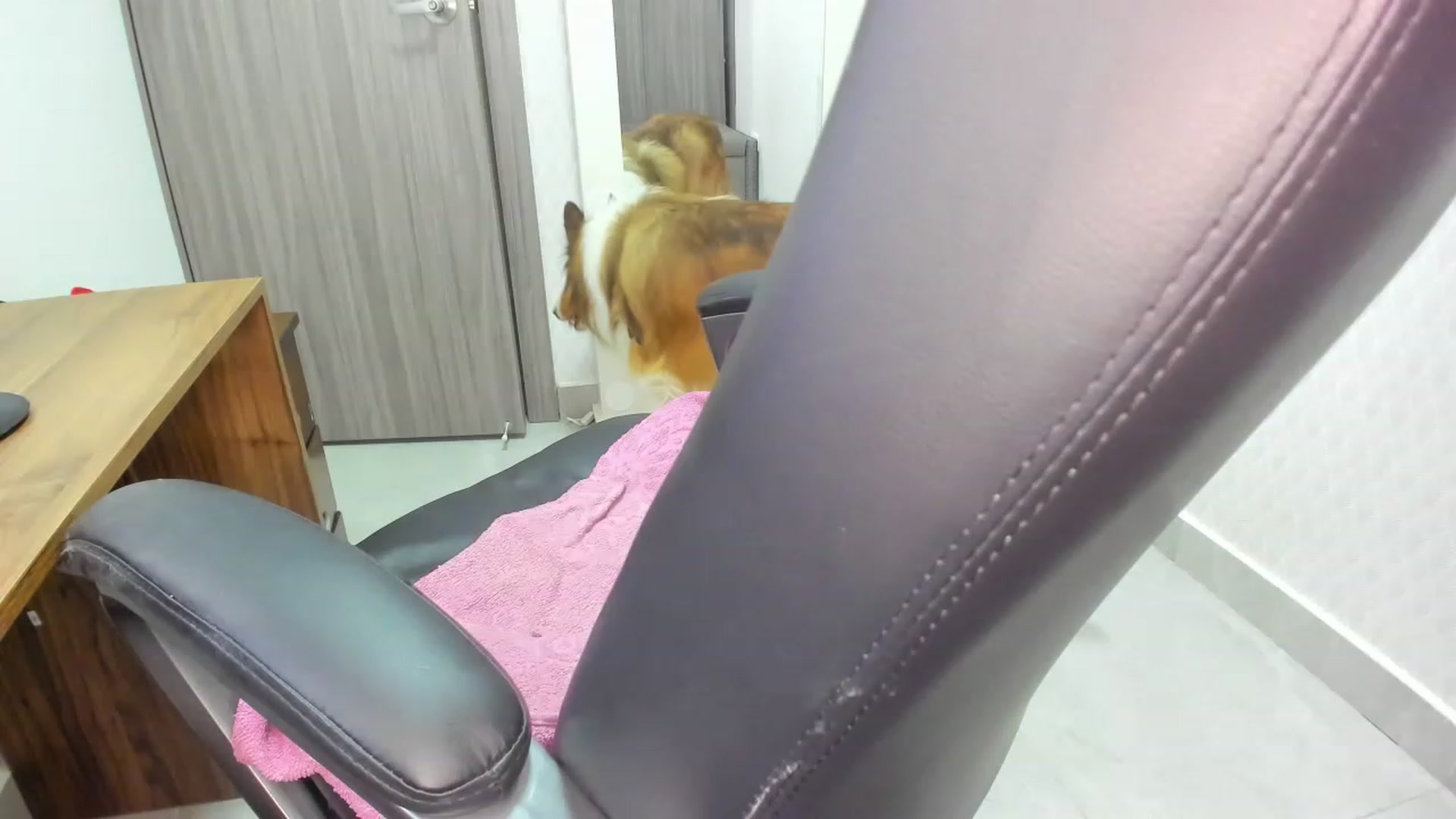 Gallery image thumbnail from Susan_lane's myfreecams stream on, 01/10/2023, 16:57 image 5 of 20