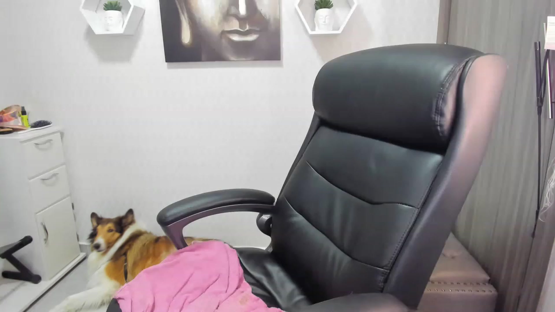 Gallery image thumbnail from Susan_lane's myfreecams stream on, 02/24/2023, 17:14 image 15 of 20