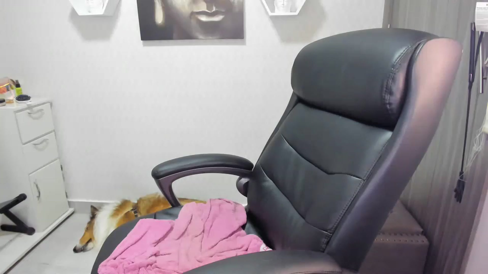 Gallery image thumbnail from Susan_lane's myfreecams stream on, 02/27/2023, 06:23 image 11 of 20