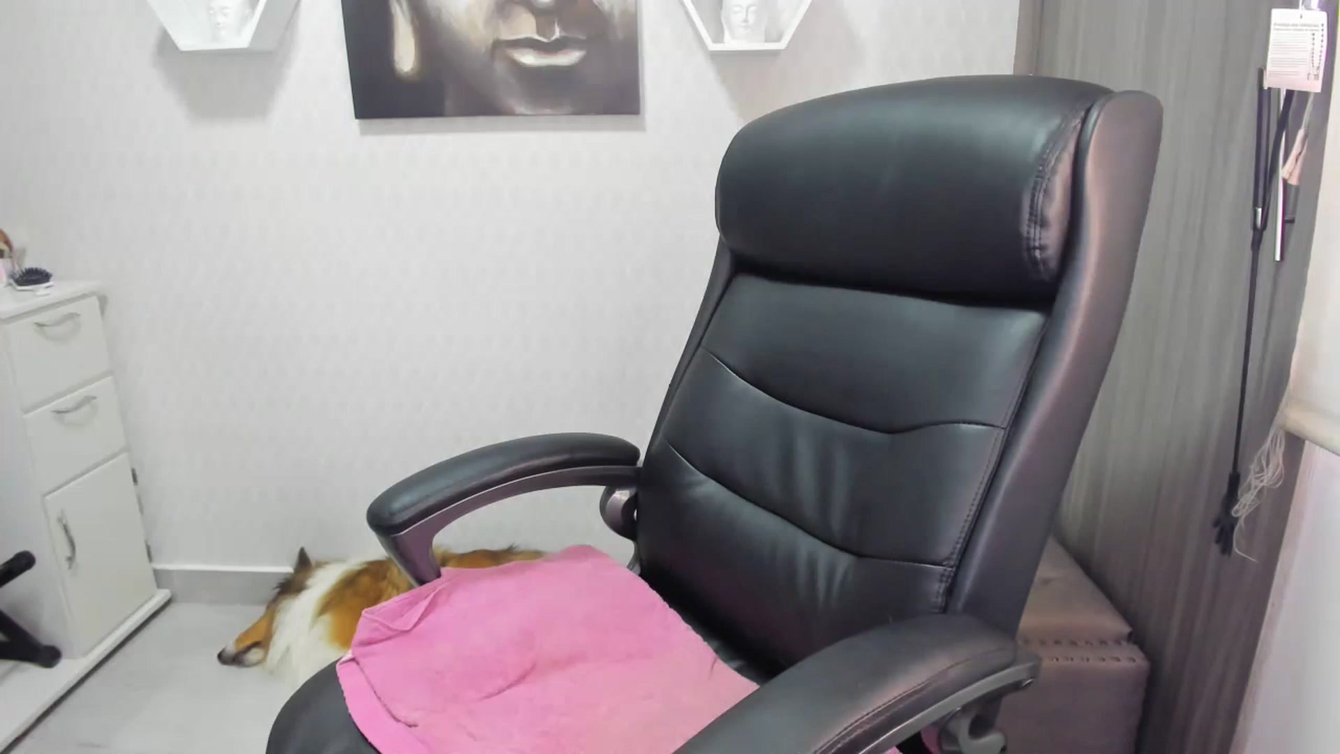 Gallery image thumbnail from Susan_lane's myfreecams stream on, 03/02/2023, 16:50 image 5 of 20